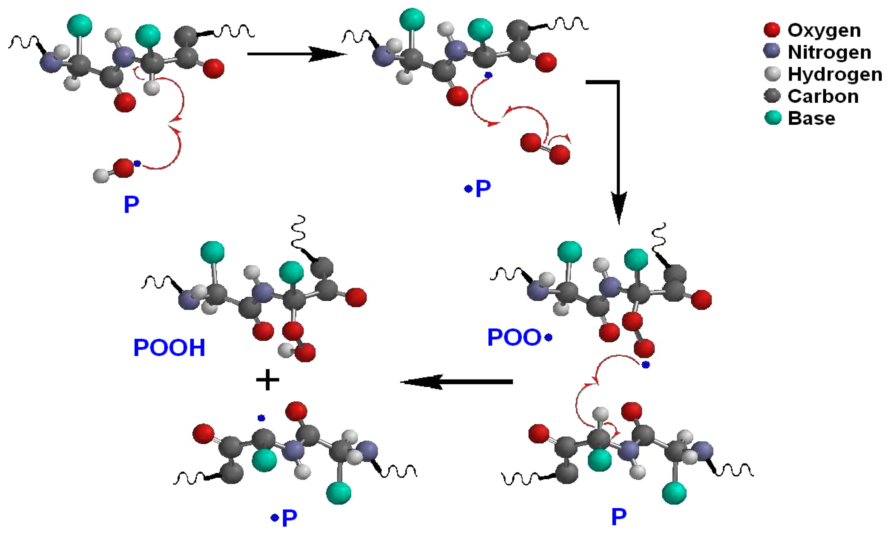 Polysaccharides 02 00036 g003 Polysaccharides 02 00036 g003
