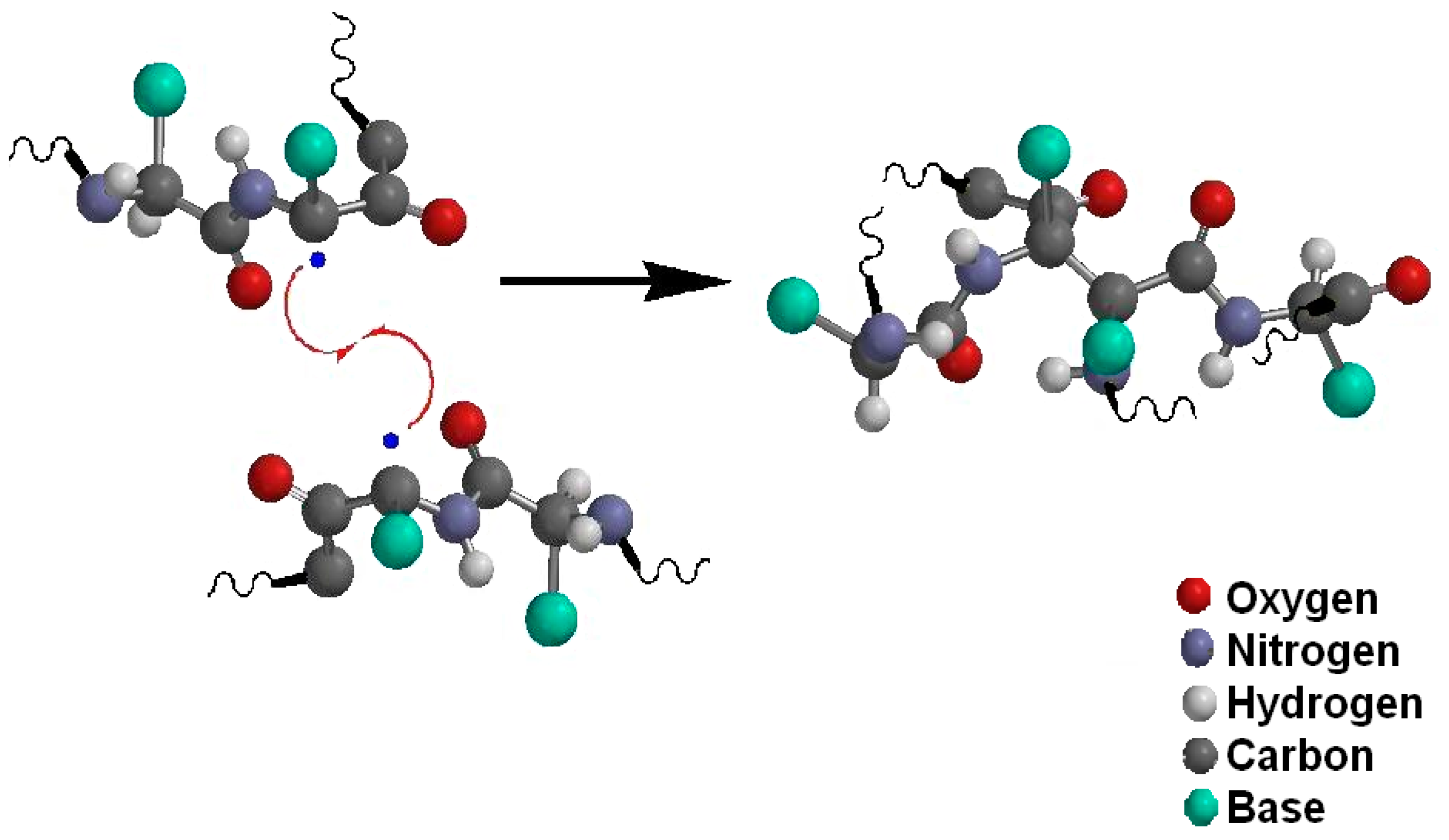 Polysaccharides 02 00036 g004 Polysaccharides 02 00036 g004
