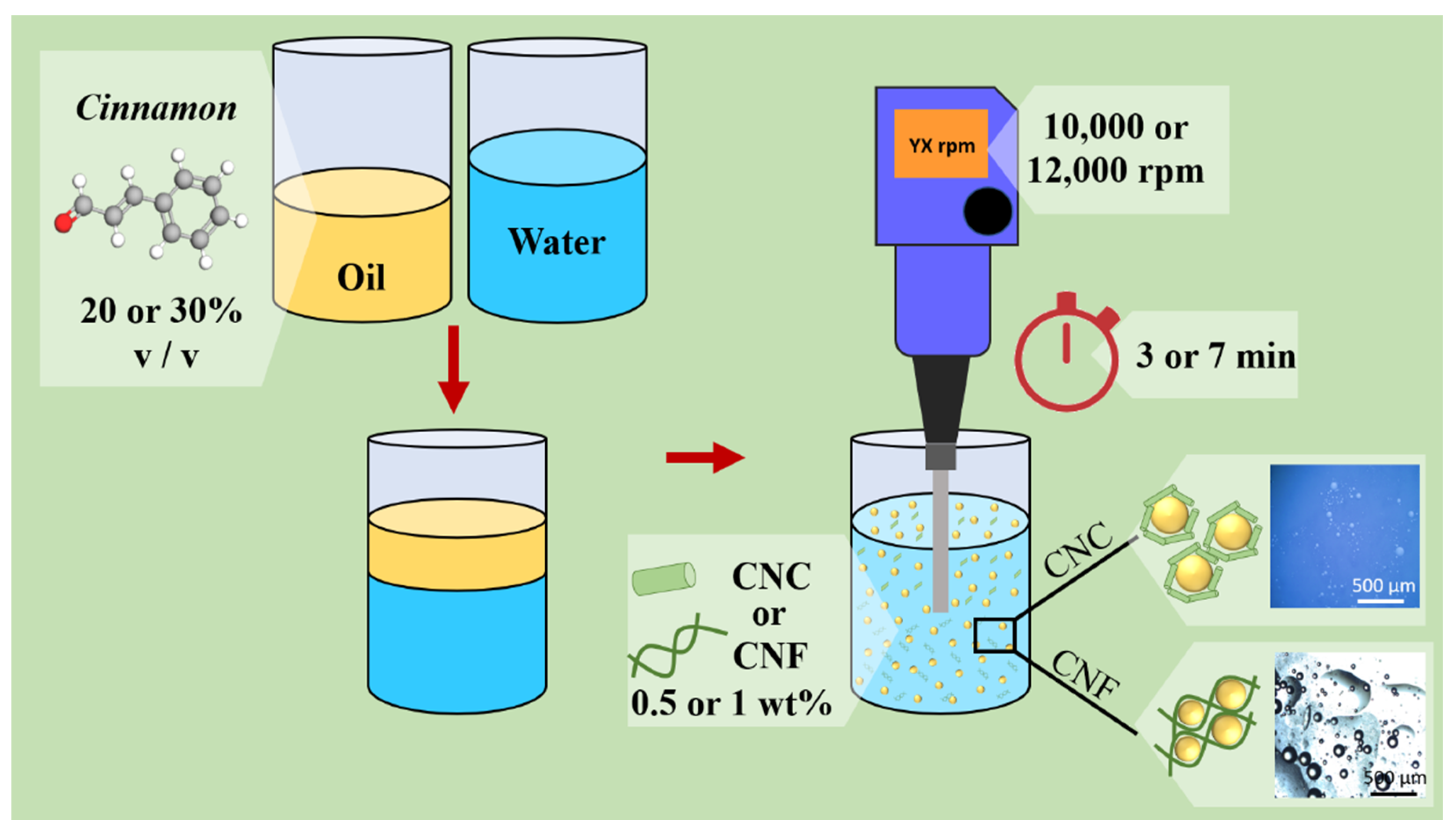 Polysaccharides 02 00037 g001 Polysaccharides 02 00037 g001