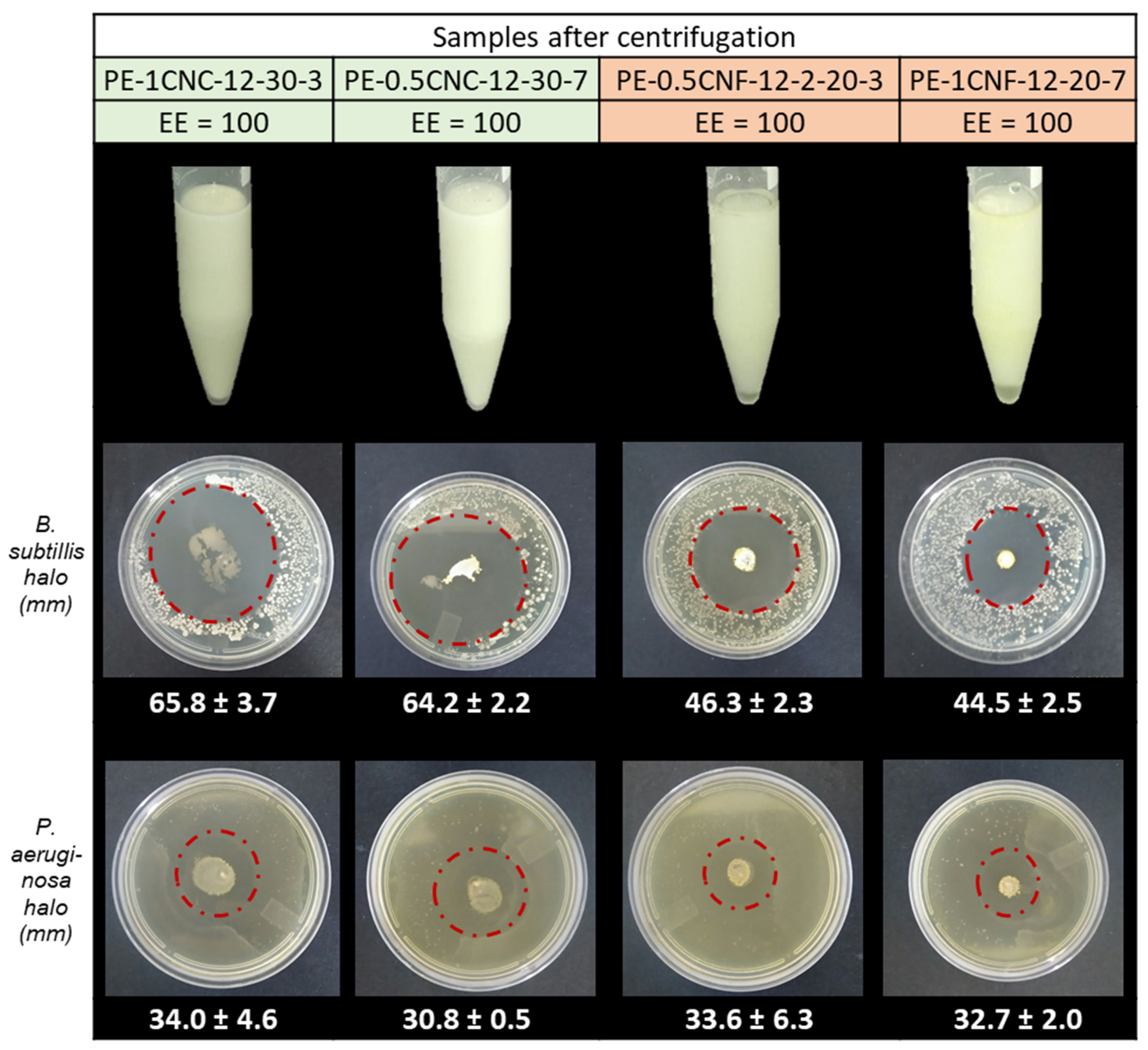 Polysaccharides 02 00037 g008 Polysaccharides 02 00037 g008