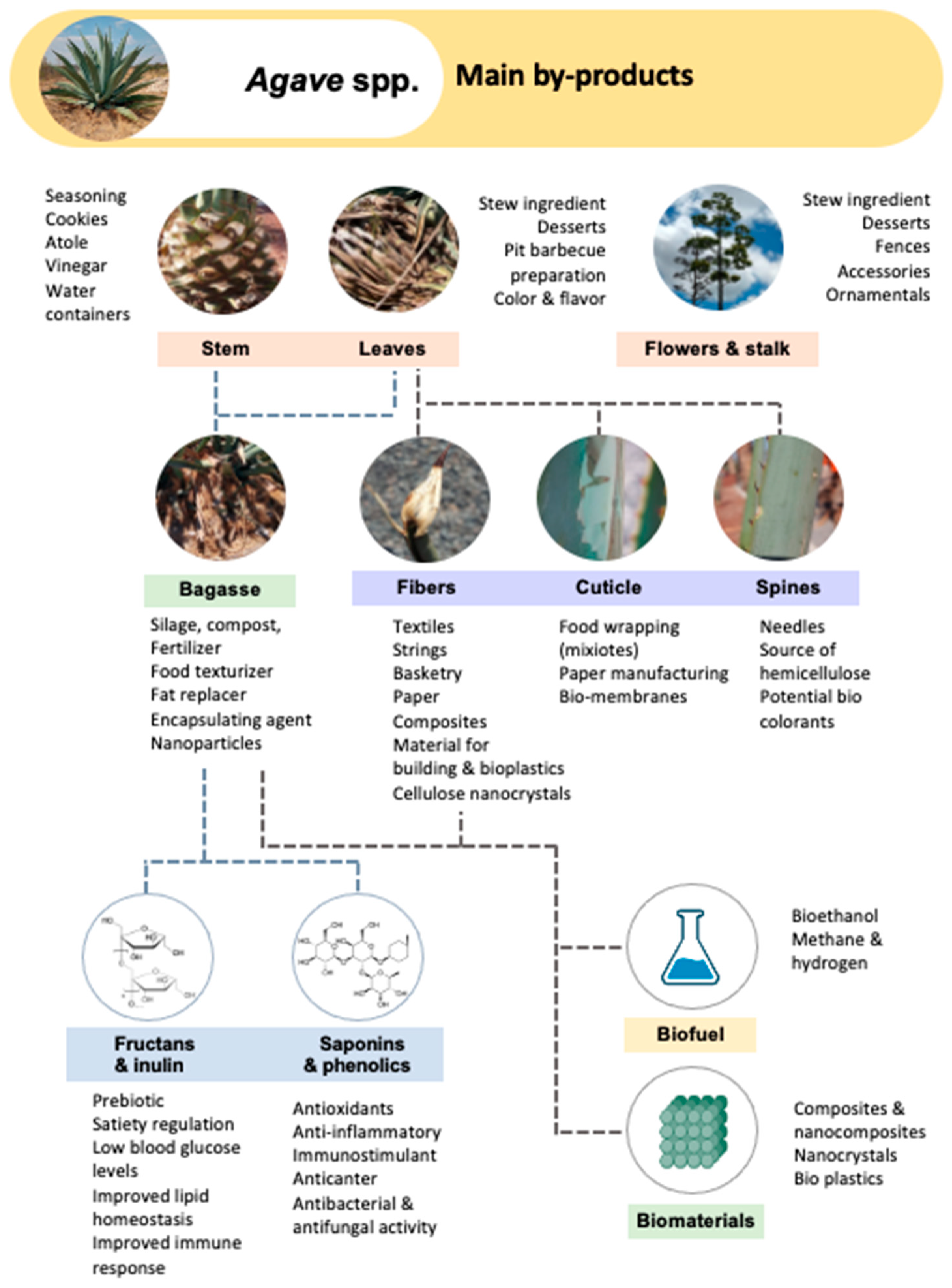 Polysaccharides 02 00044 g001