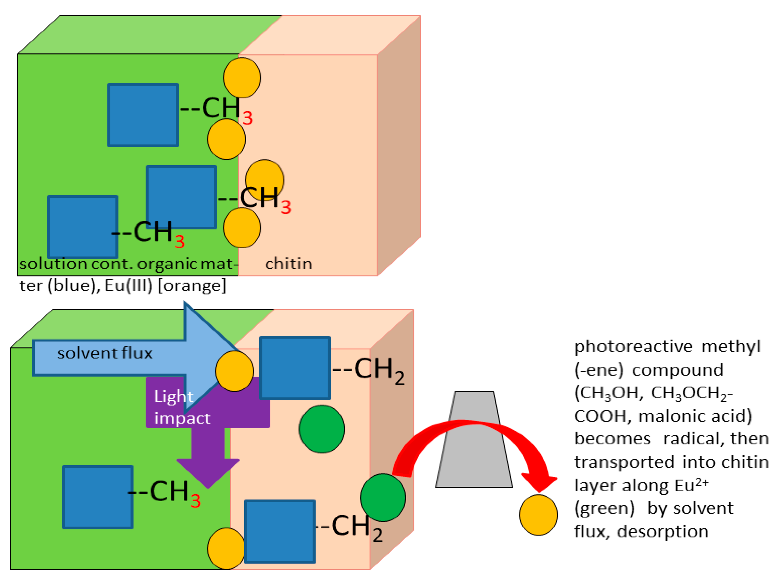 Polysaccharides 02 00047 g004