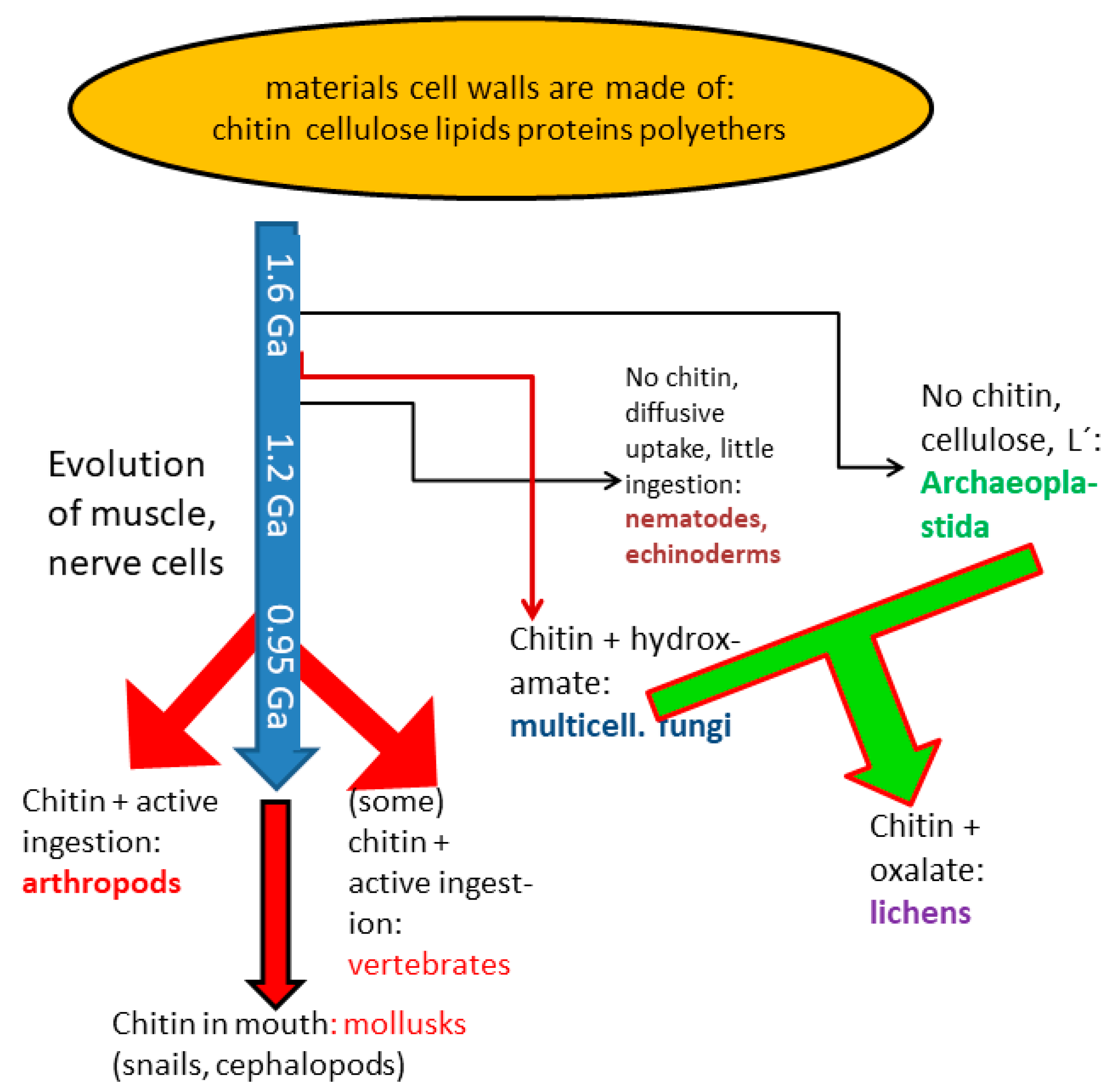 Polysaccharides 02 00047 g007