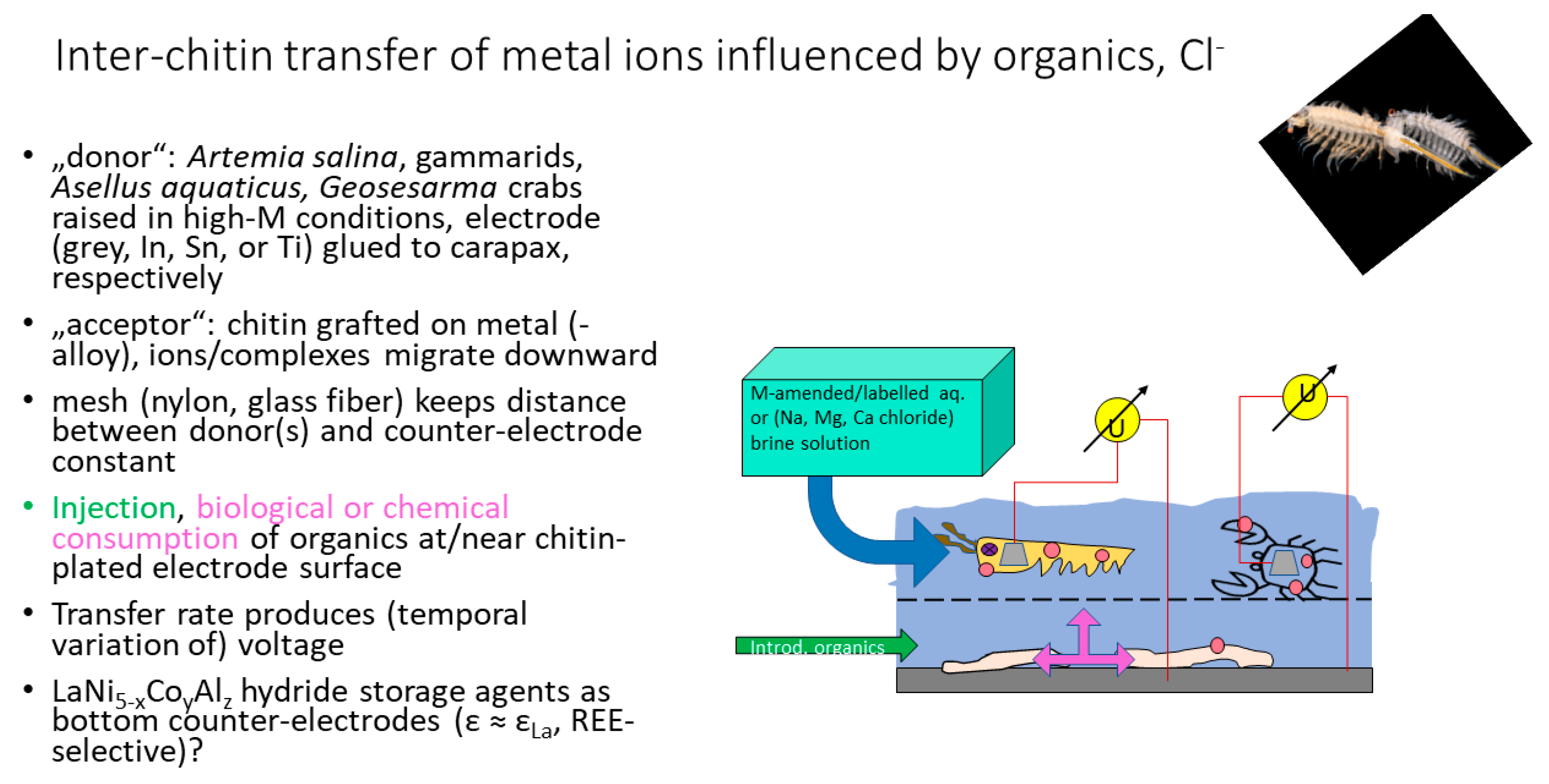 Polysaccharides 02 00047 g008