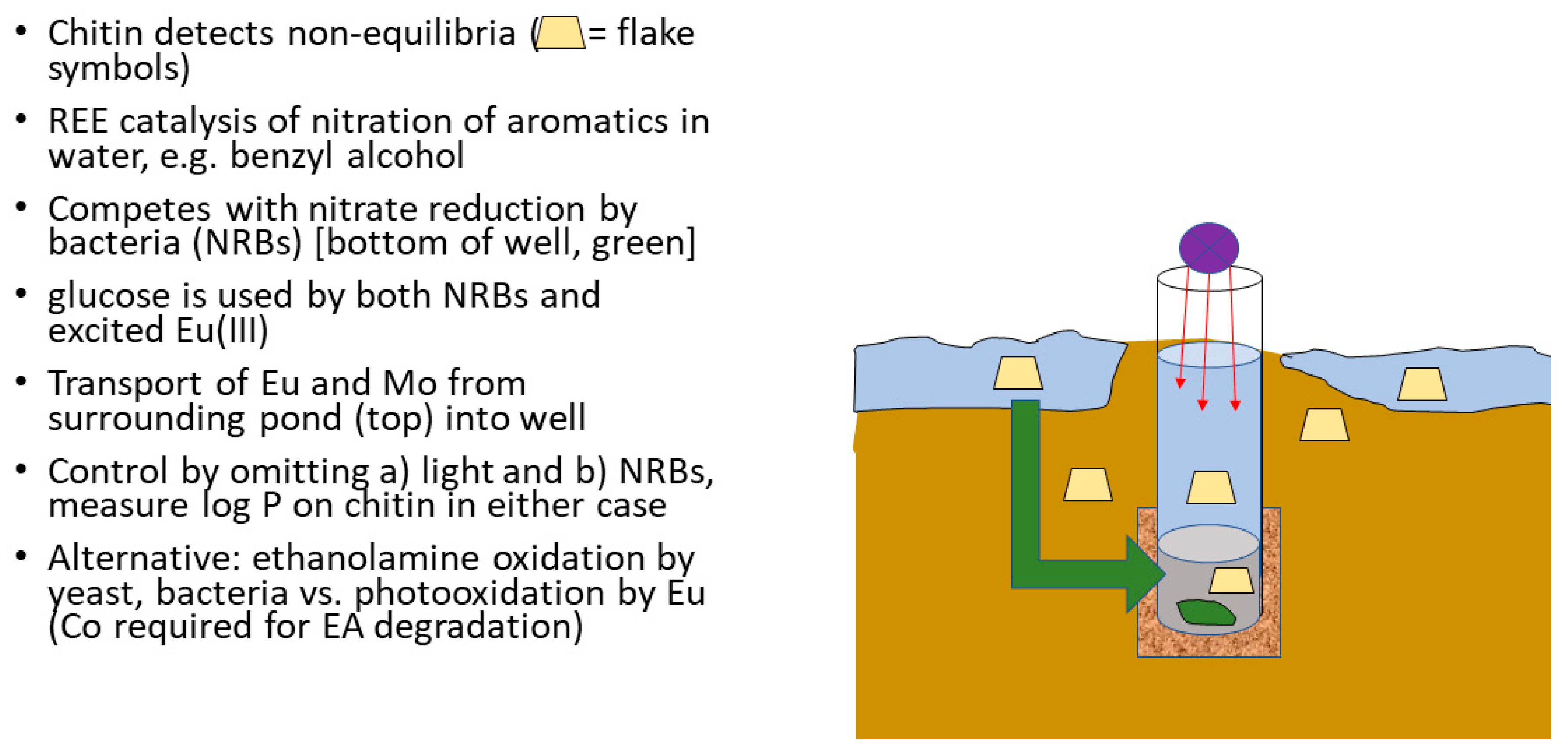 Polysaccharides 02 00047 g009