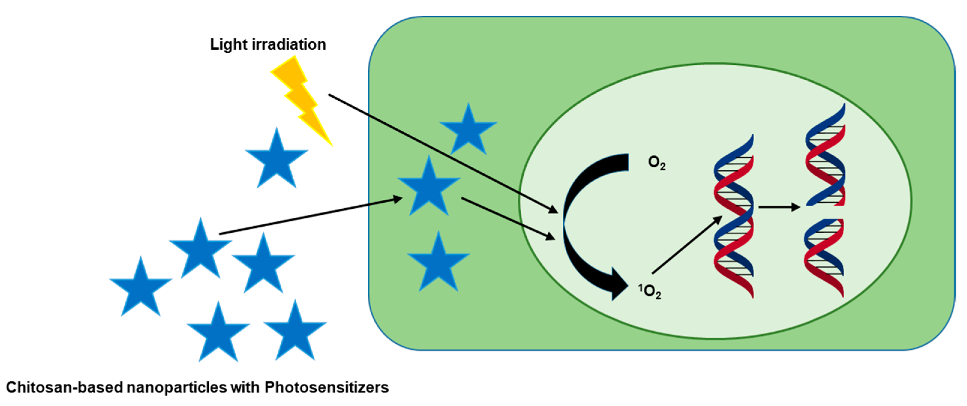 Polysaccharides 02 00048 g003