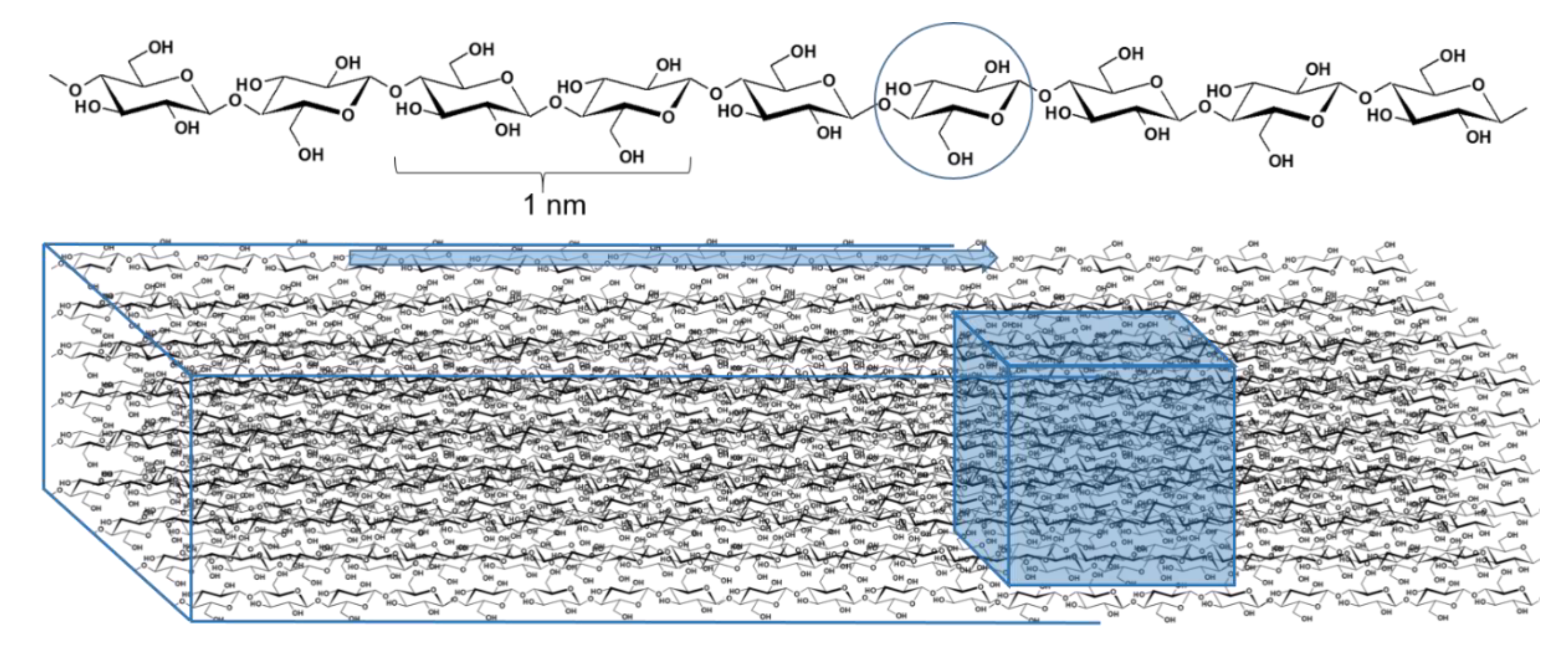 Polysaccharides 02 00051 g001