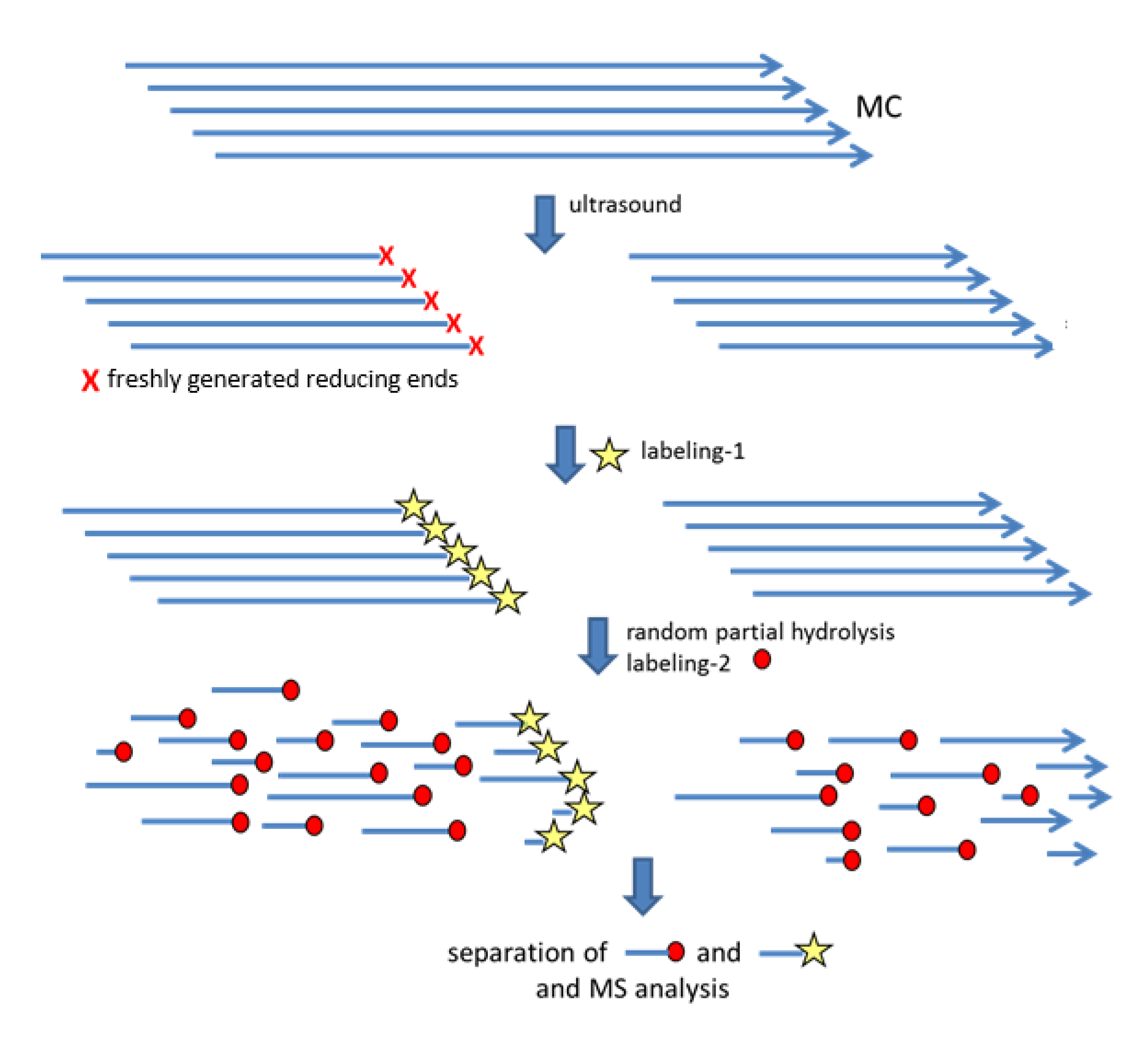 Polysaccharides 02 00051 g003