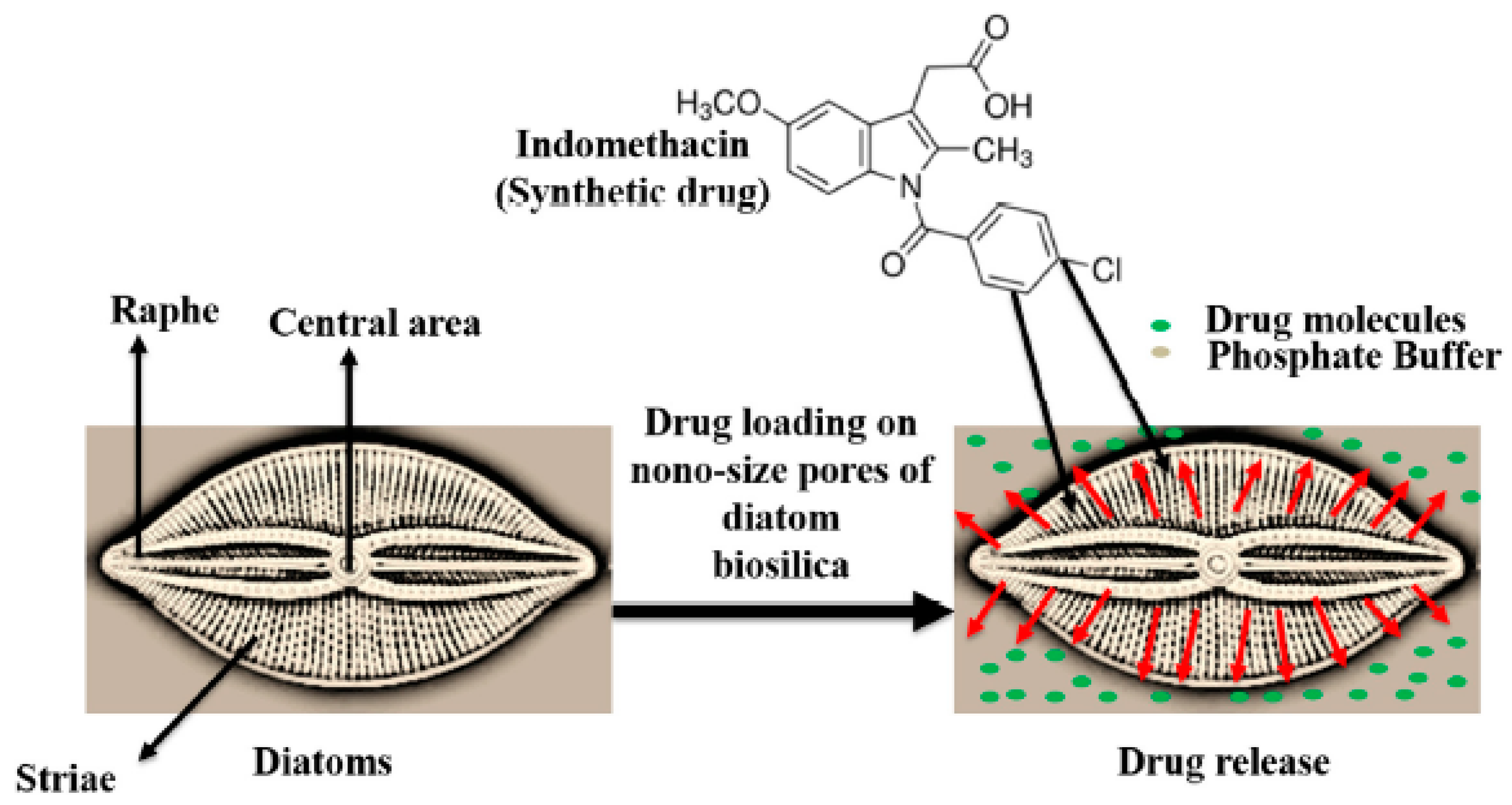 Polysaccharides 03 00004 g002