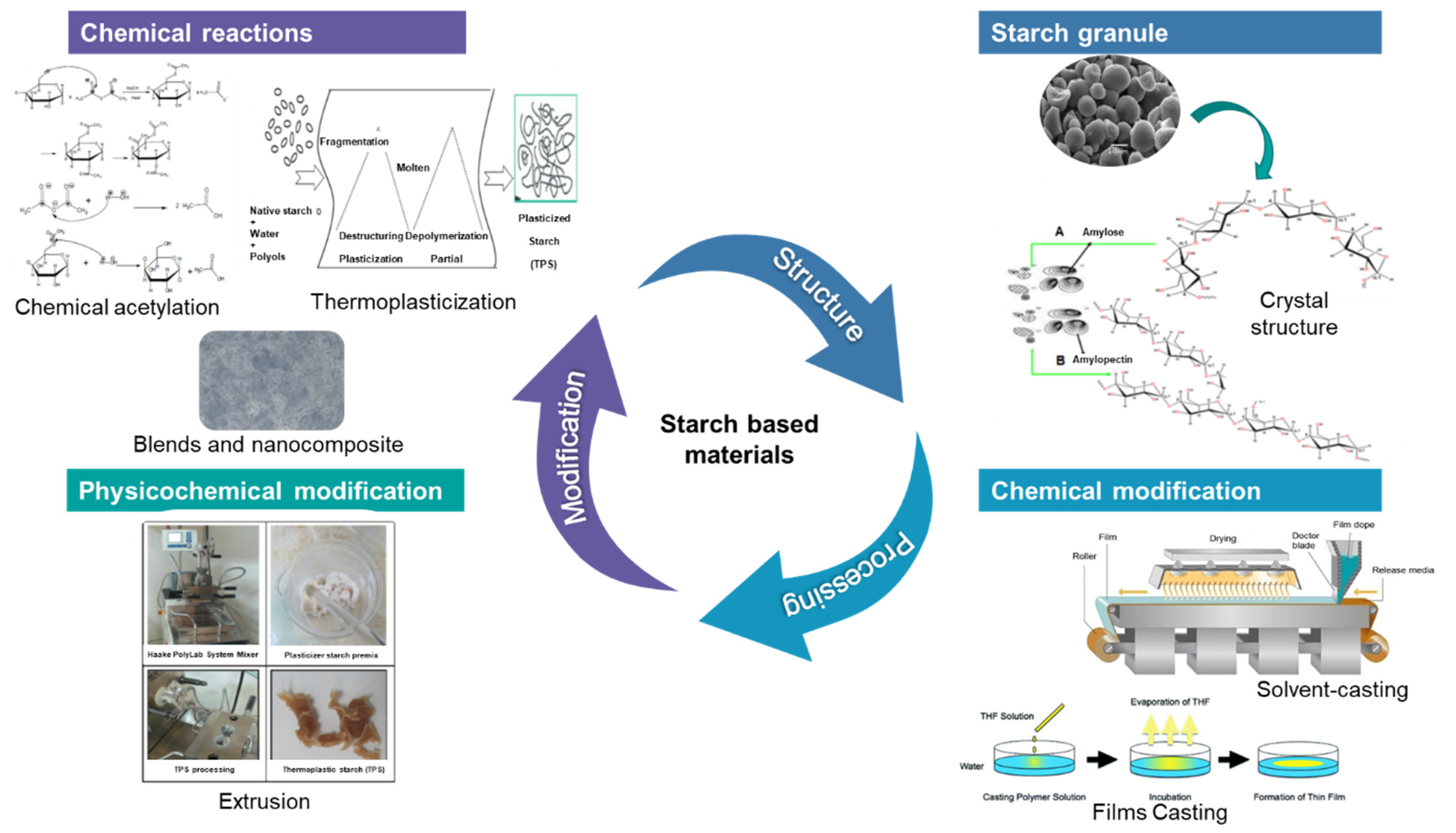 Polysaccharides 03 00007 g001