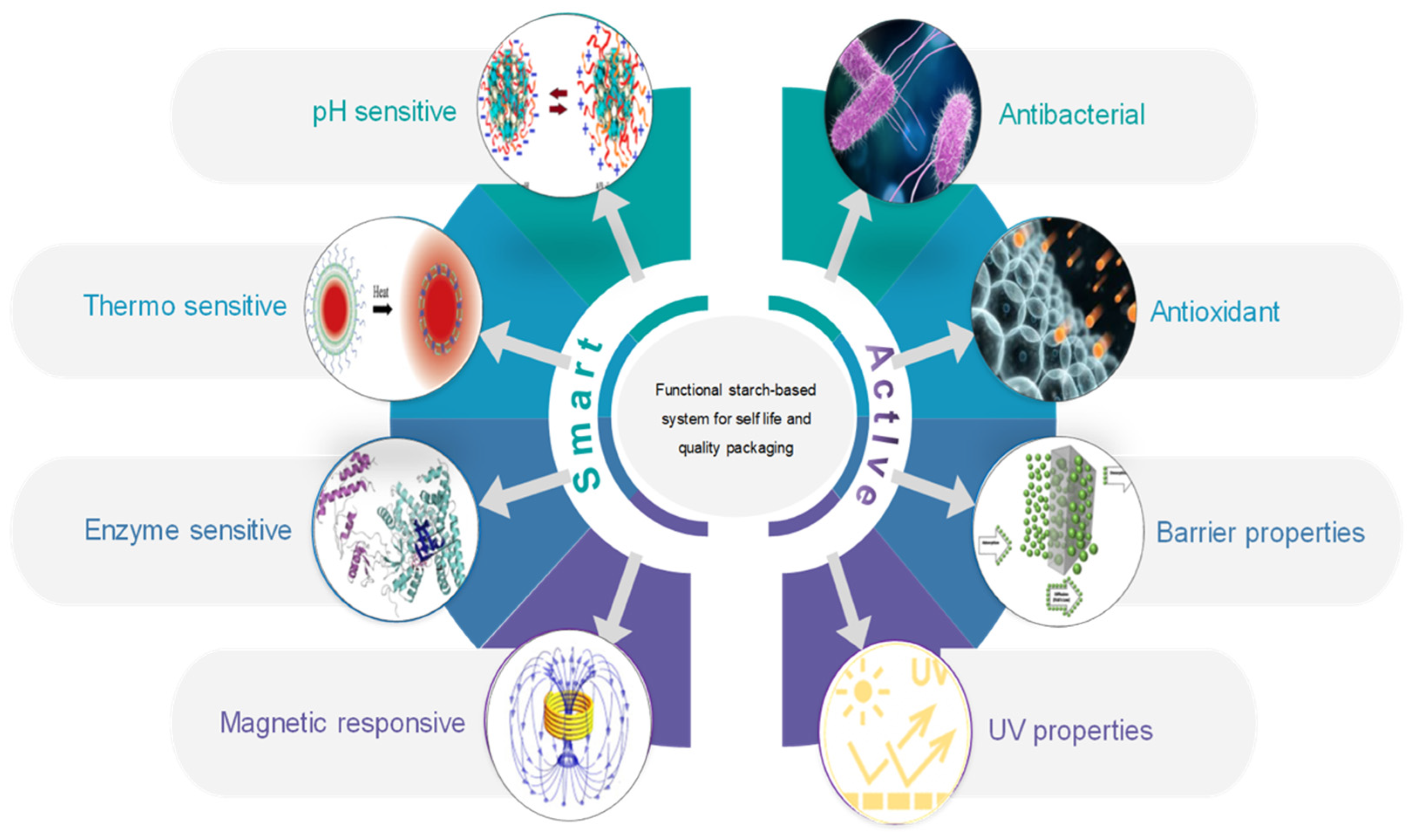 Polysaccharides 03 00007 g003