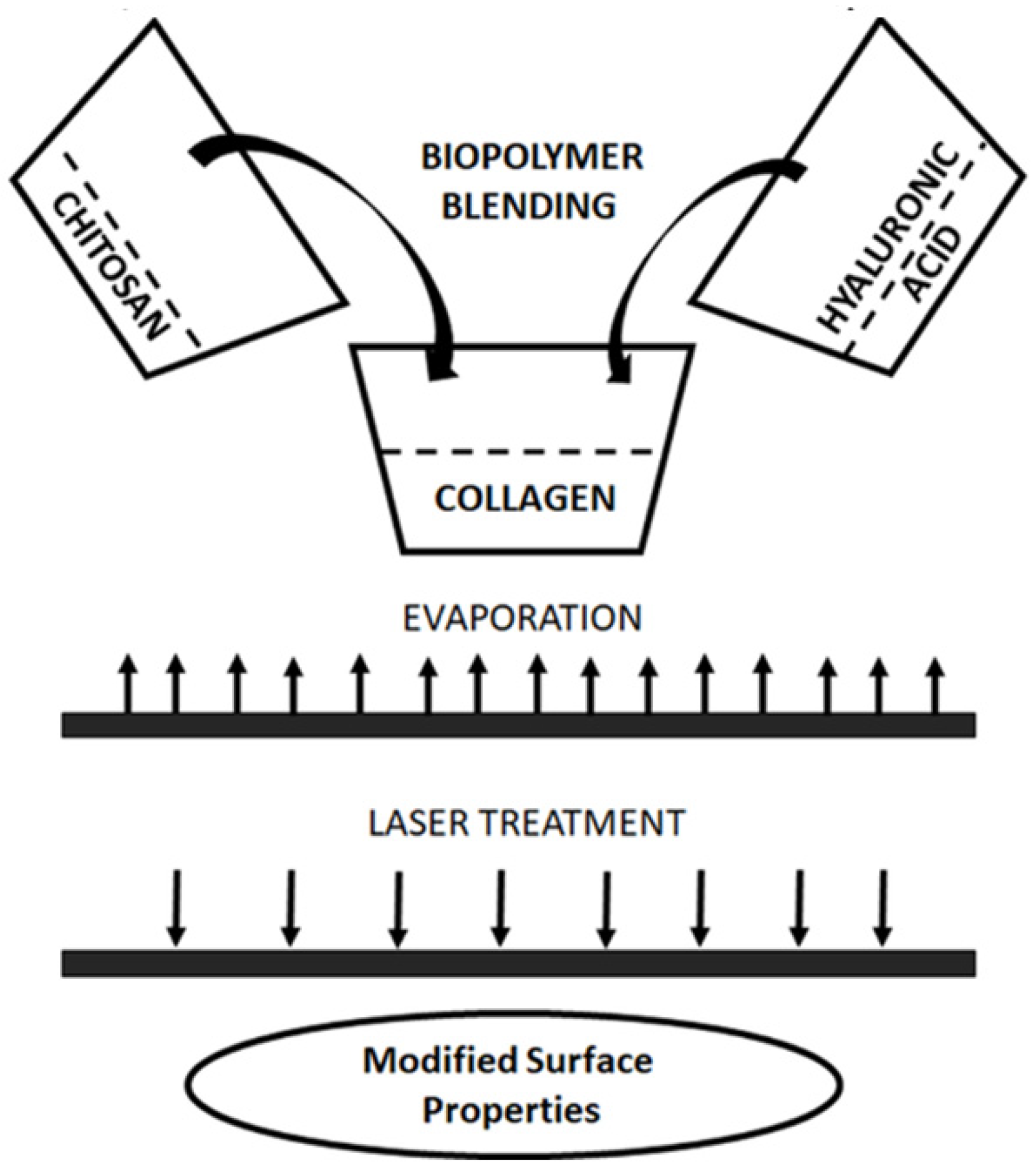 Polysaccharides 03 00008 g001