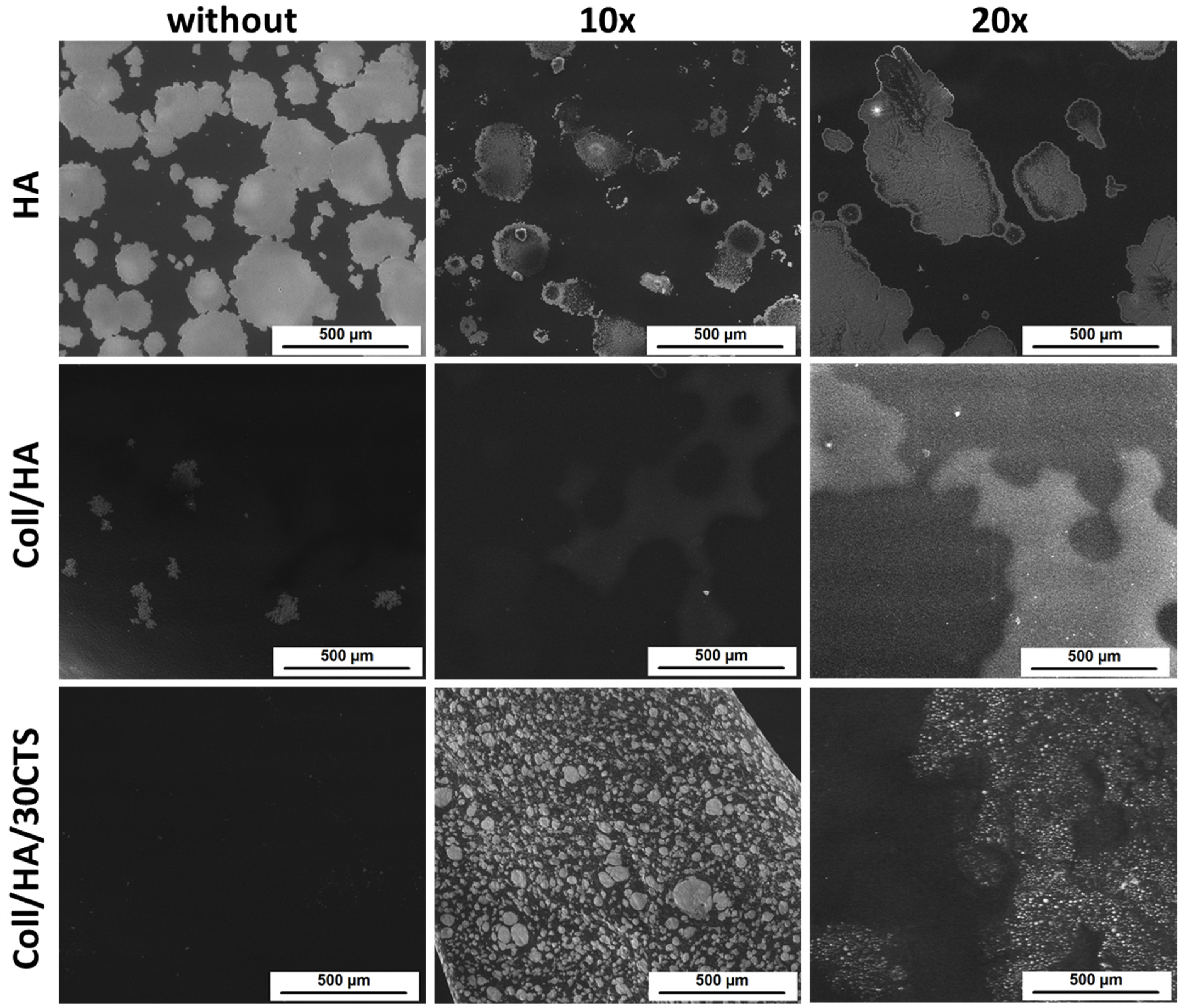 Polysaccharides 03 00008 g004