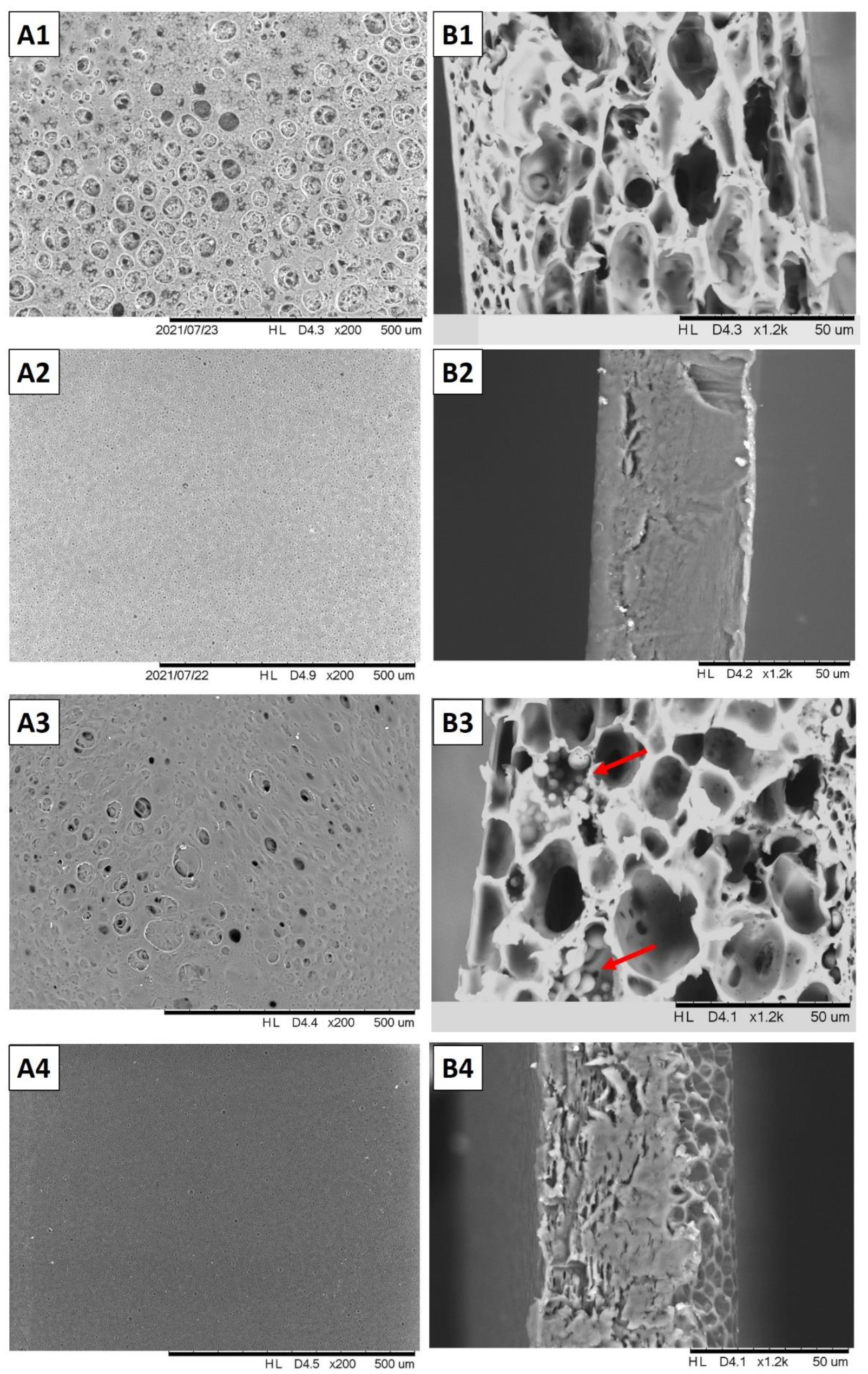 Polysaccharides 03 00016 g002