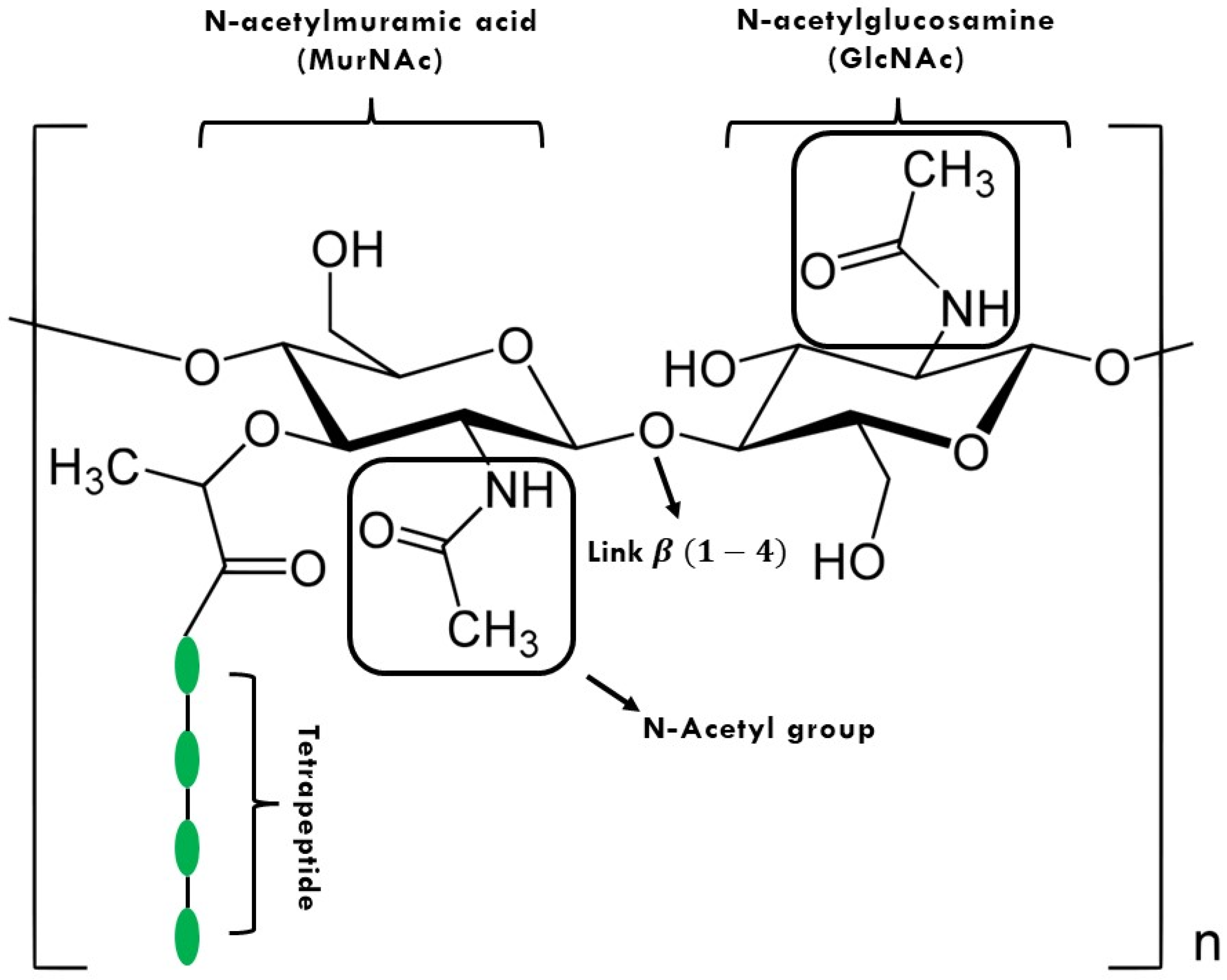 Polysaccharides 03 00018 g001 Polysaccharides 03 00018 g001