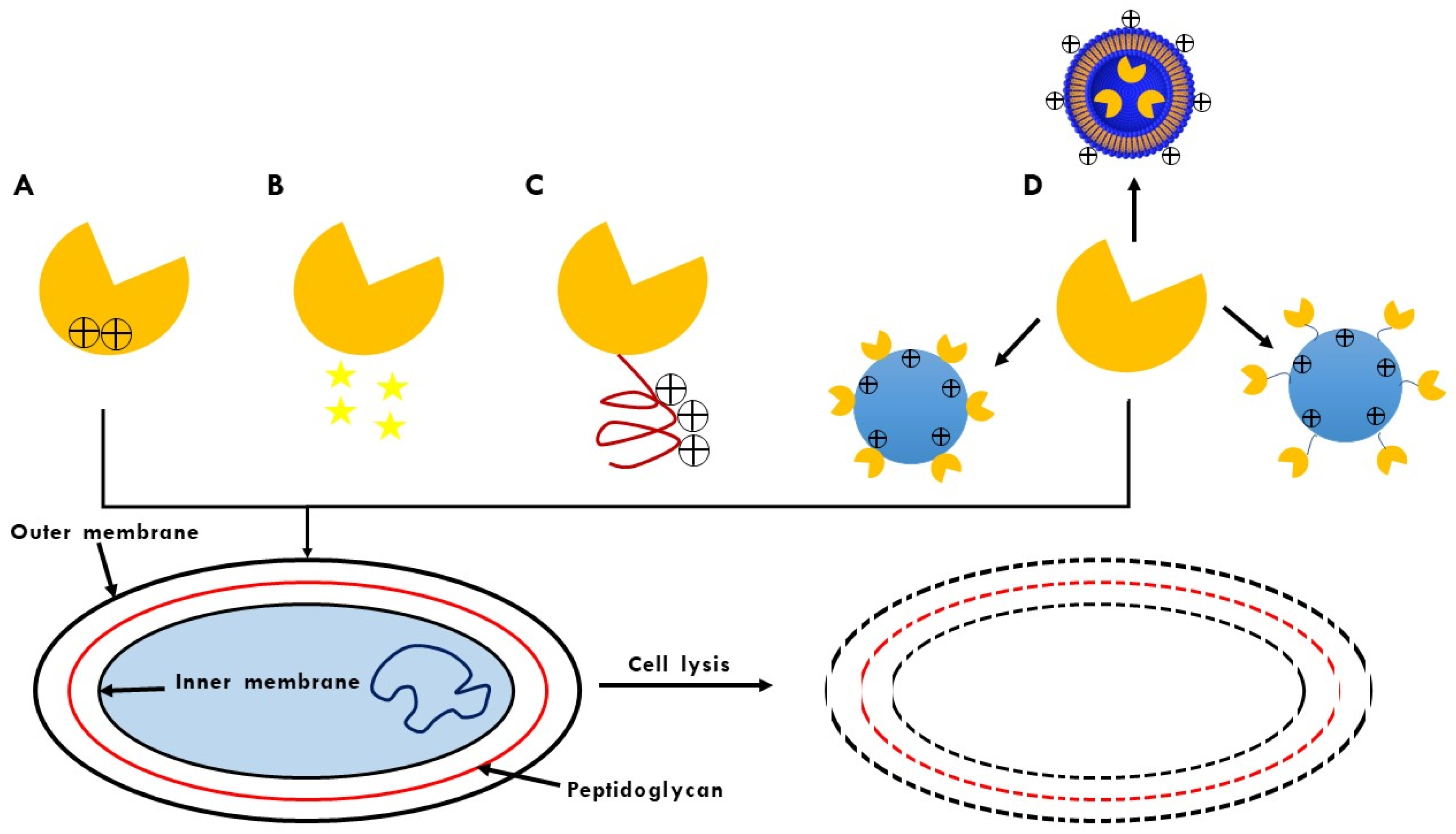 Polysaccharides 03 00018 g003 Polysaccharides 03 00018 g003