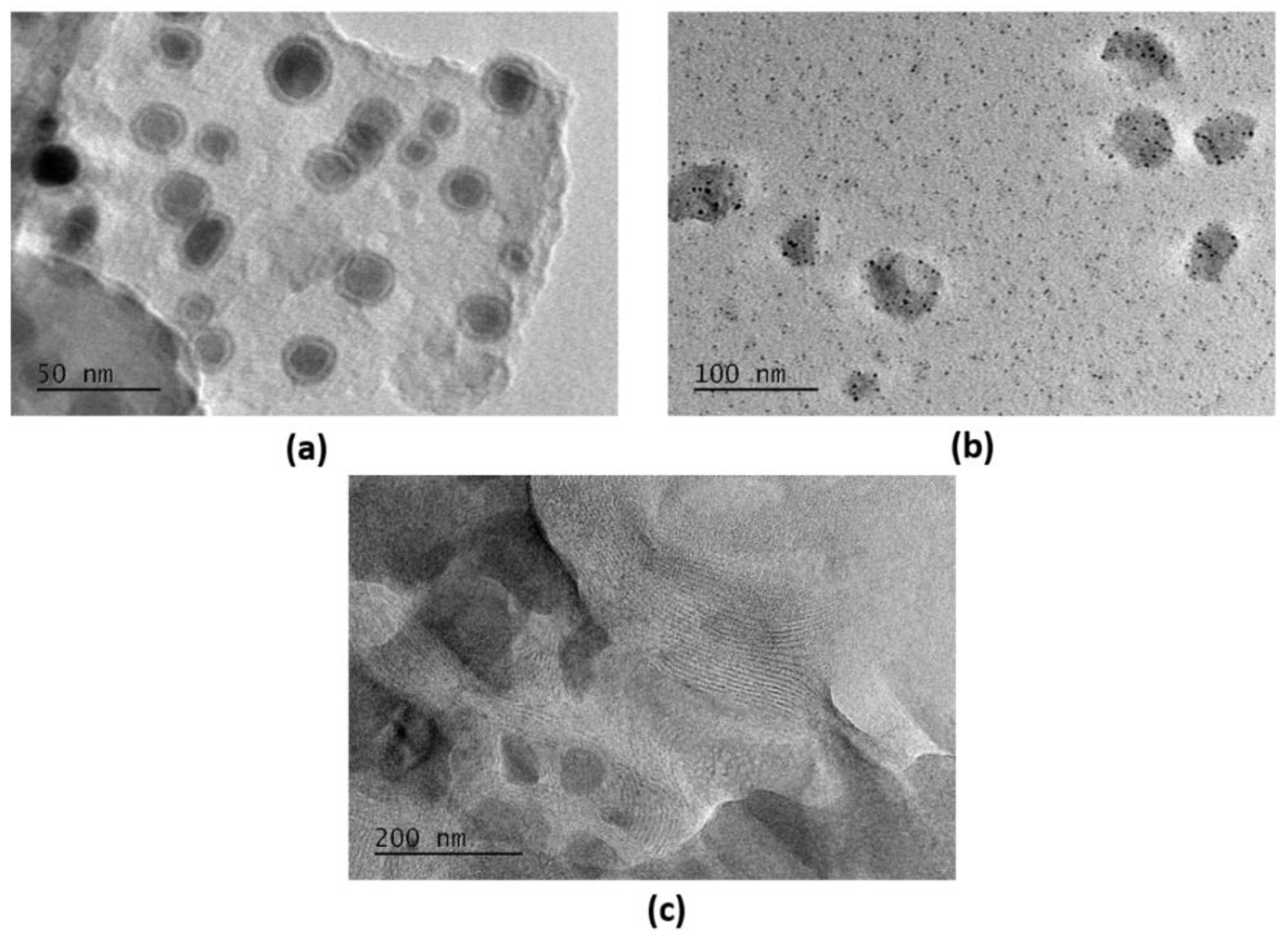 Polysaccharides 03 00019 g006