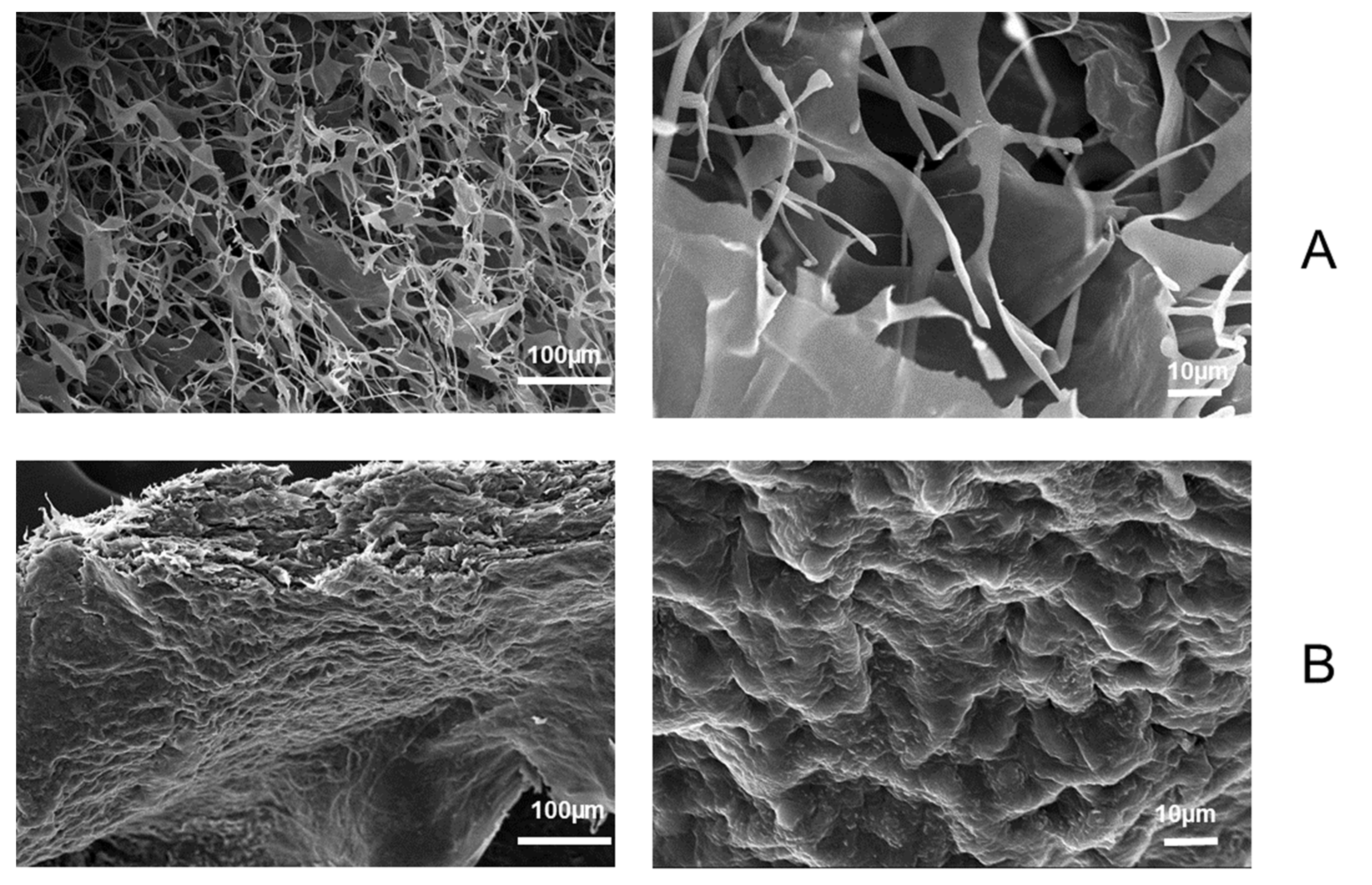 Polysaccharides 03 00020 g003