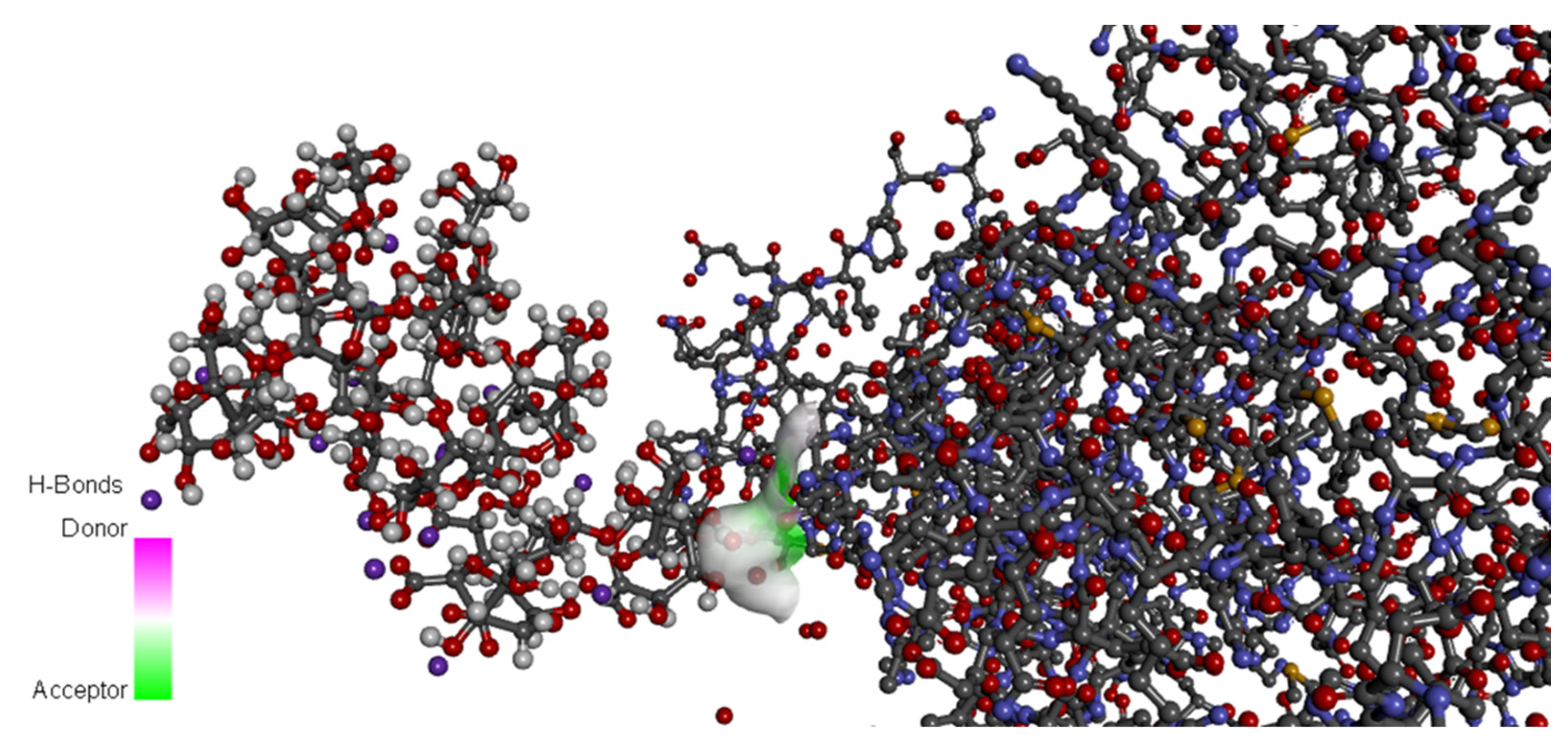 Polysaccharides 03 00025 g003 Polysaccharides 03 00025 g003