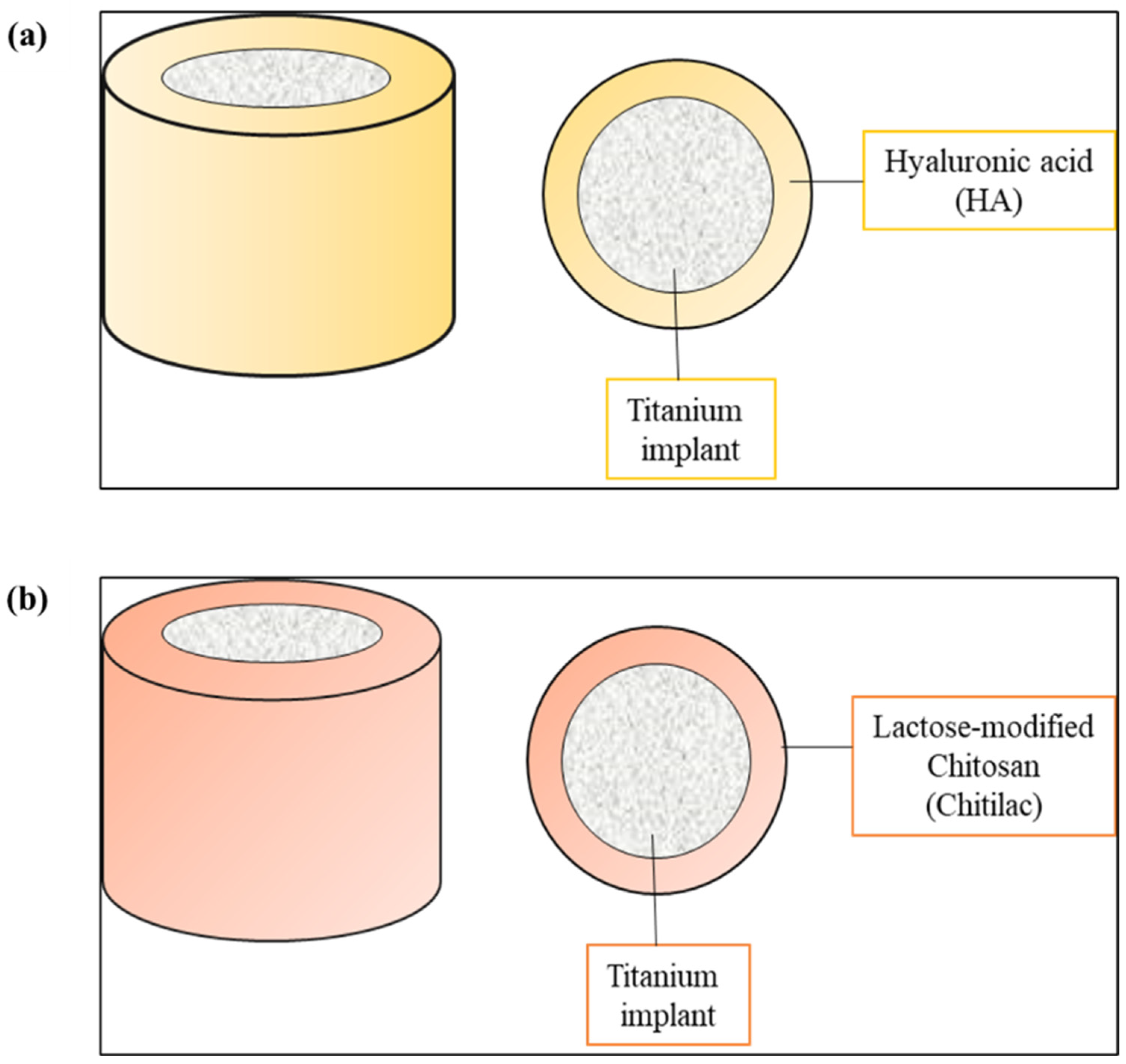 Polysaccharides 03 00037 g005 Polysaccharides 03 00037 g005
