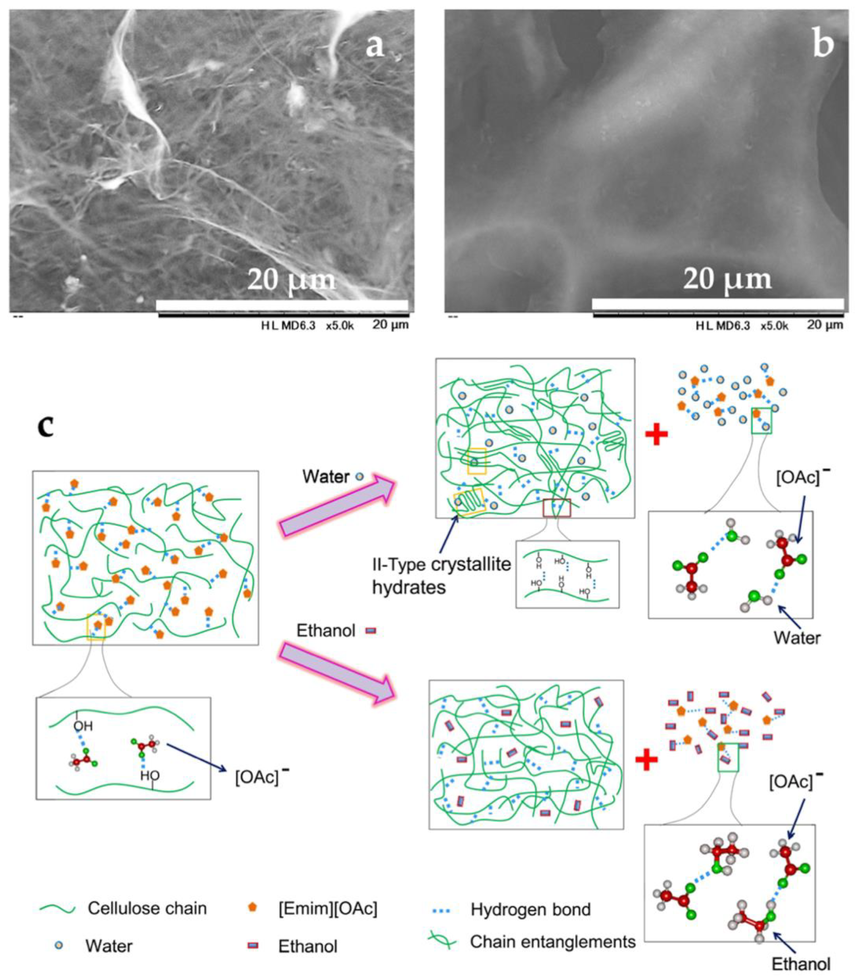 Polysaccharides 03 00039 g001