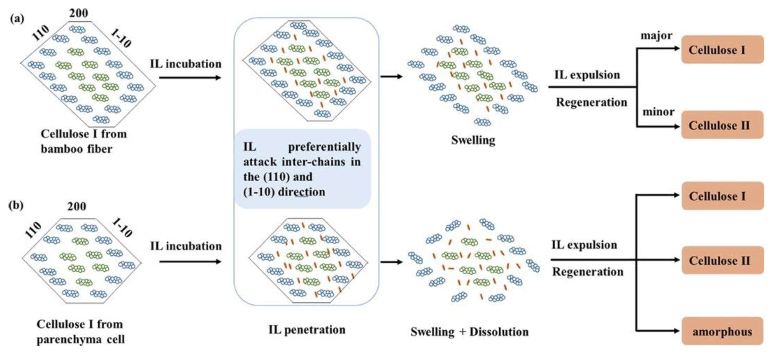 Polysaccharides 03 00039 g003
