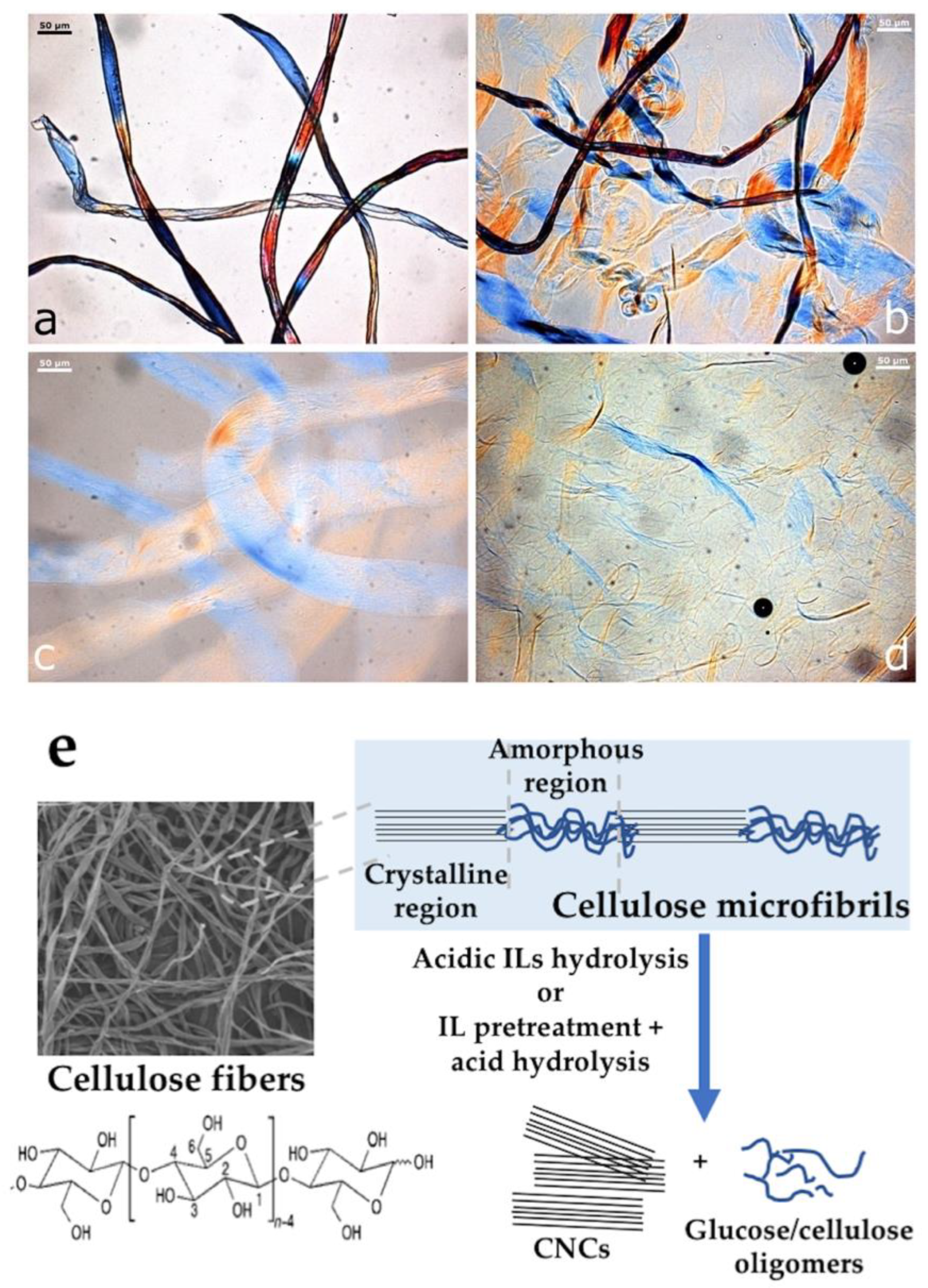 Polysaccharides 03 00039 g004