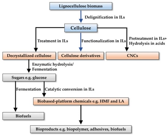 Polysaccharides 03 00039 g009
