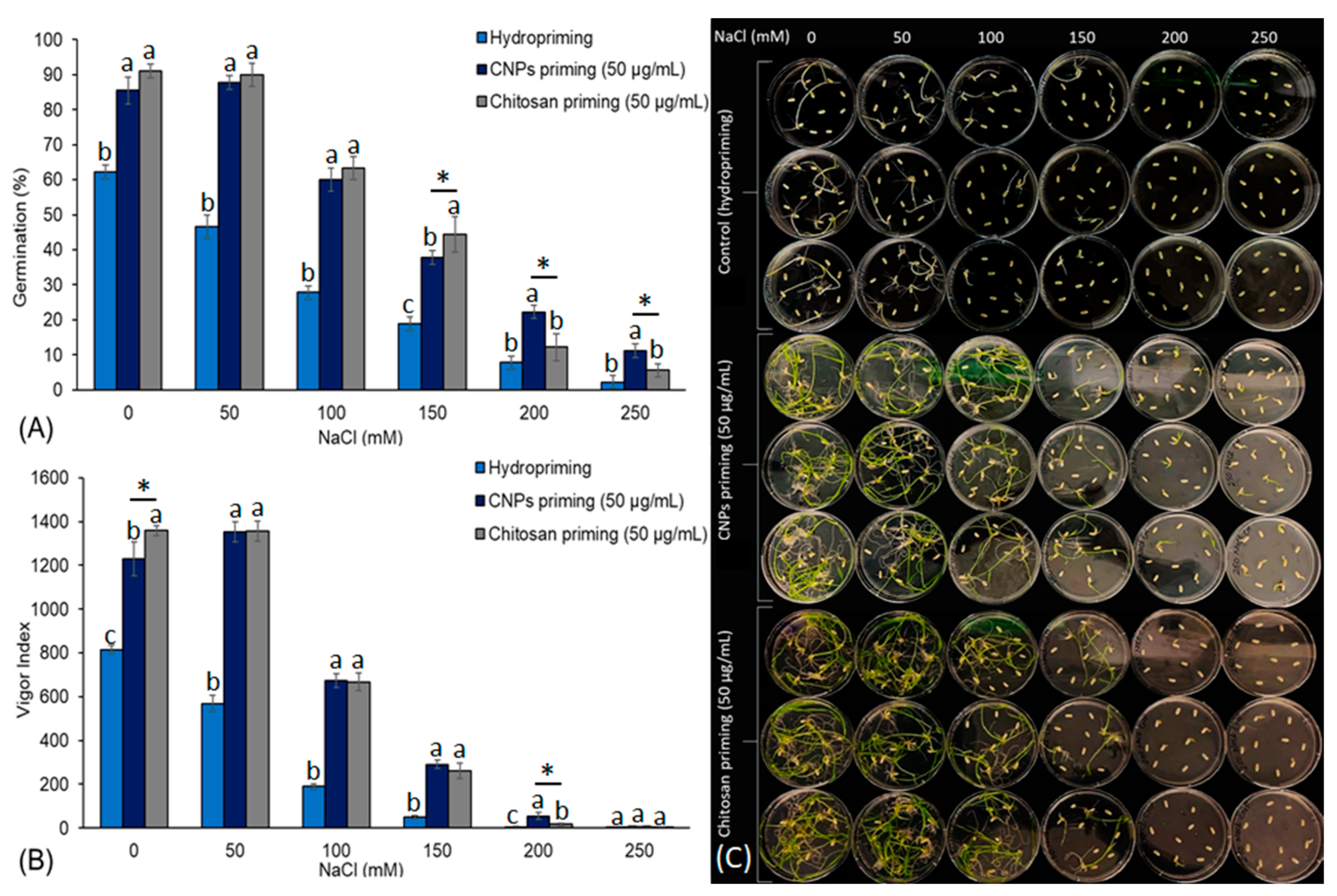 Polysaccharides 04 00010 g002
