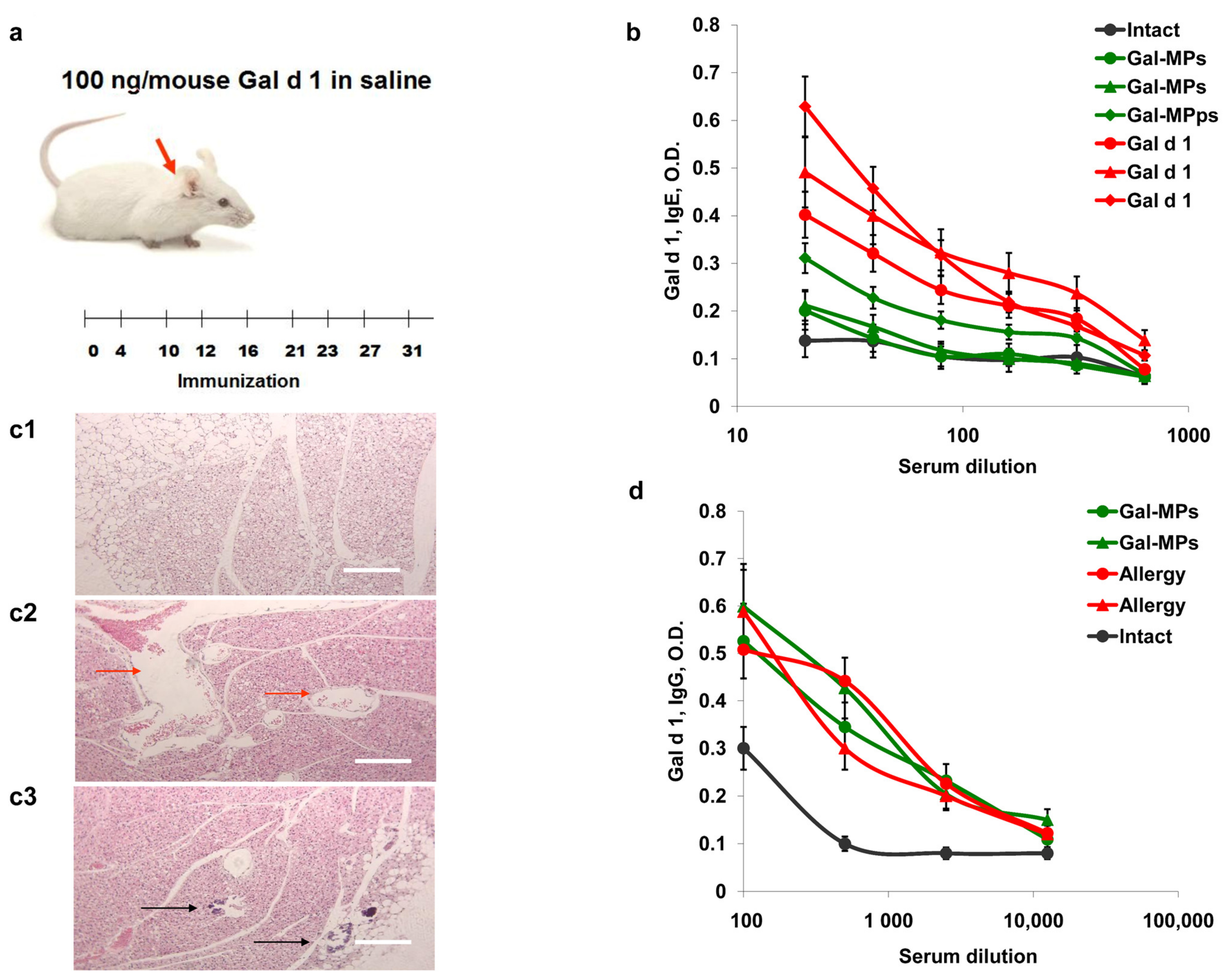 Polysaccharides 04 00011 g005