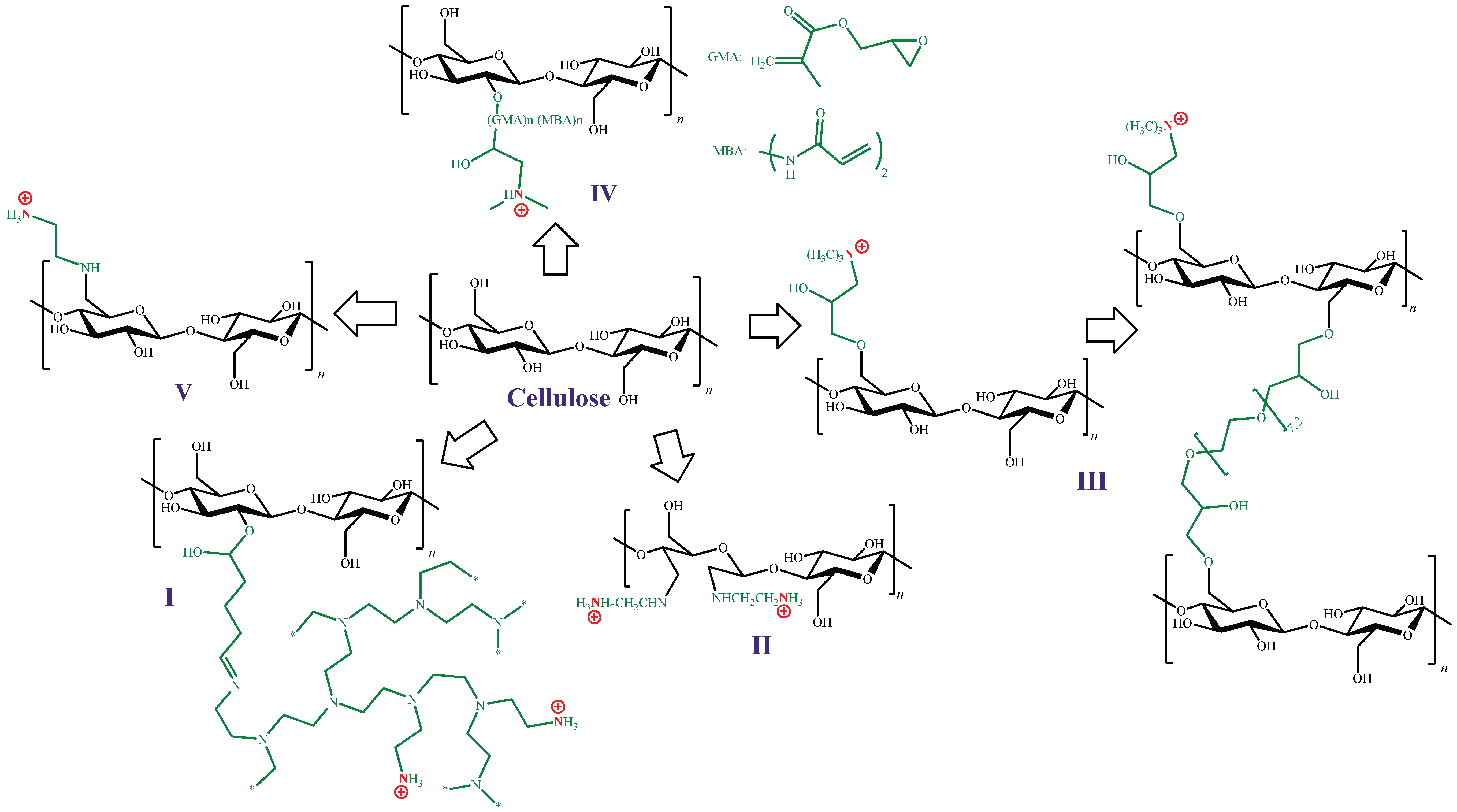 Polysaccharides 04 00016 g005