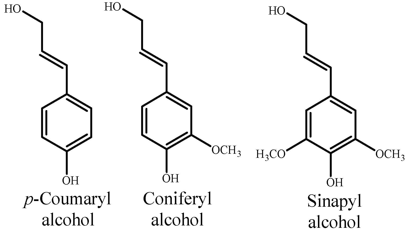 Polysaccharides 04 00016 g012