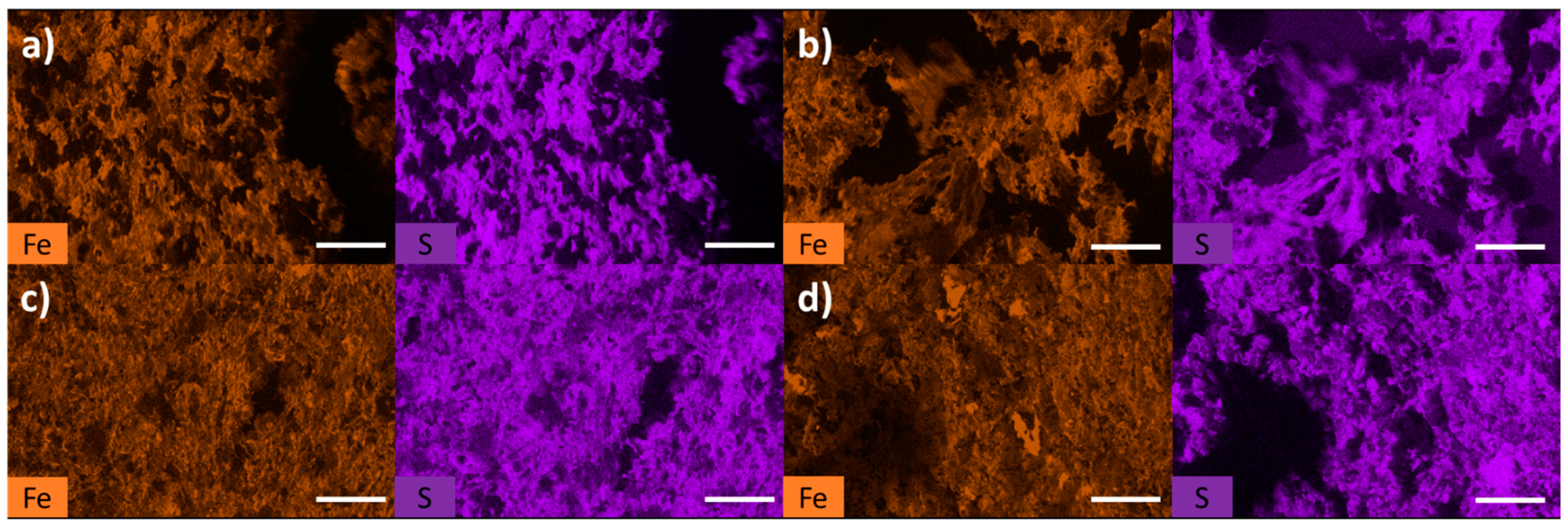 Polysaccharides 04 00019 g005 Polysaccharides 04 00019 g005