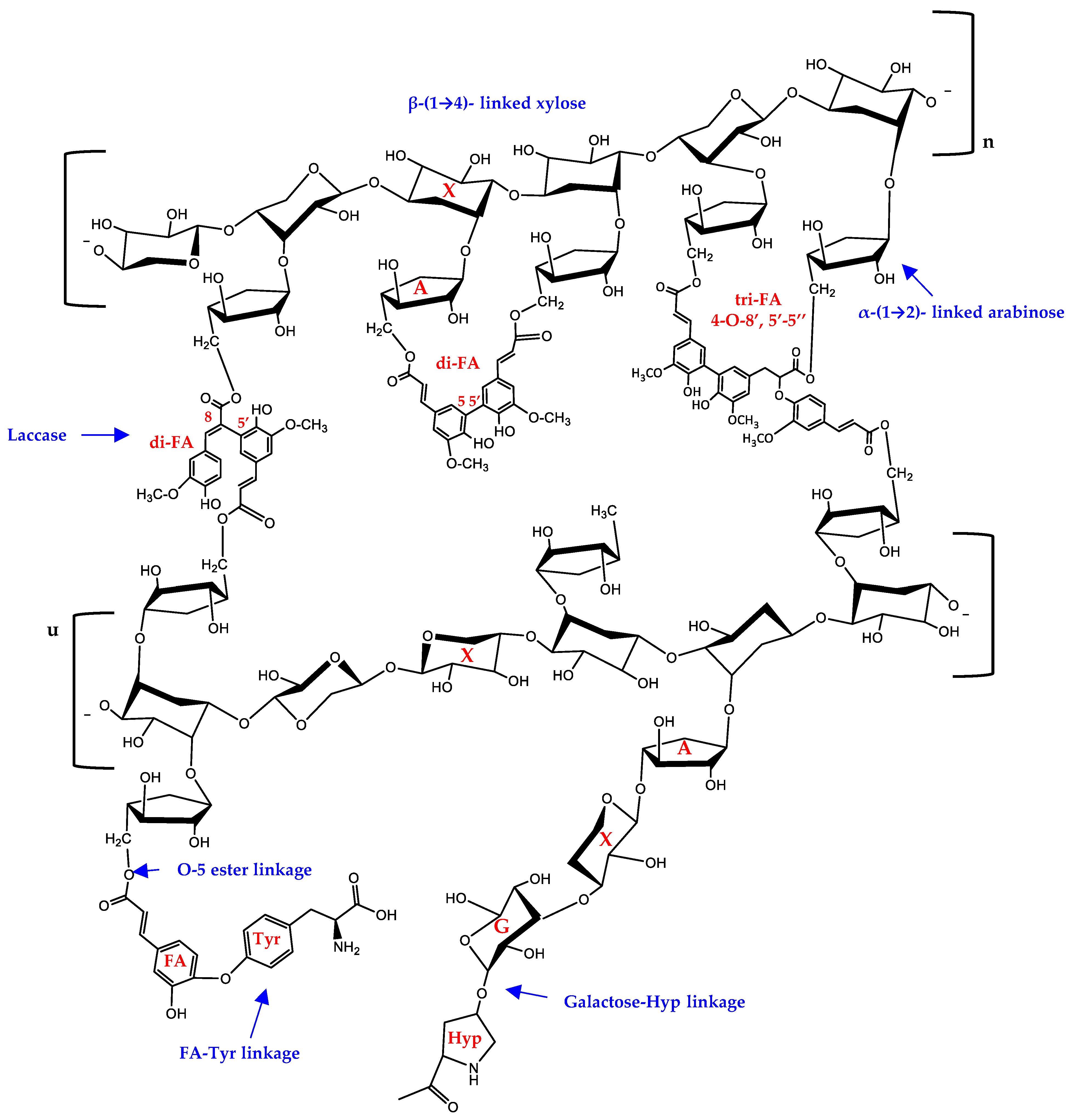 Polysaccharides 04 00021 g001