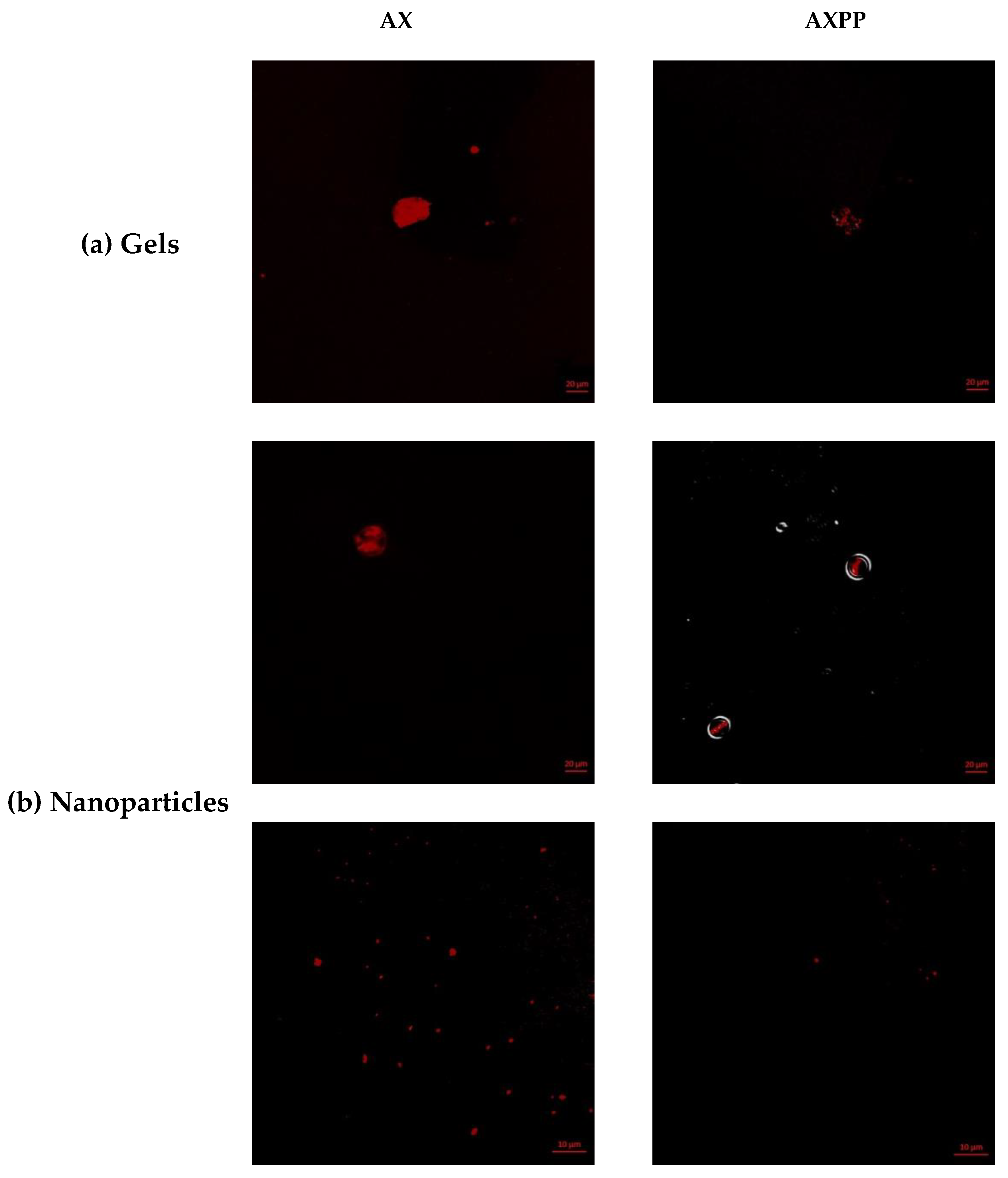 Polysaccharides 04 00021 g005