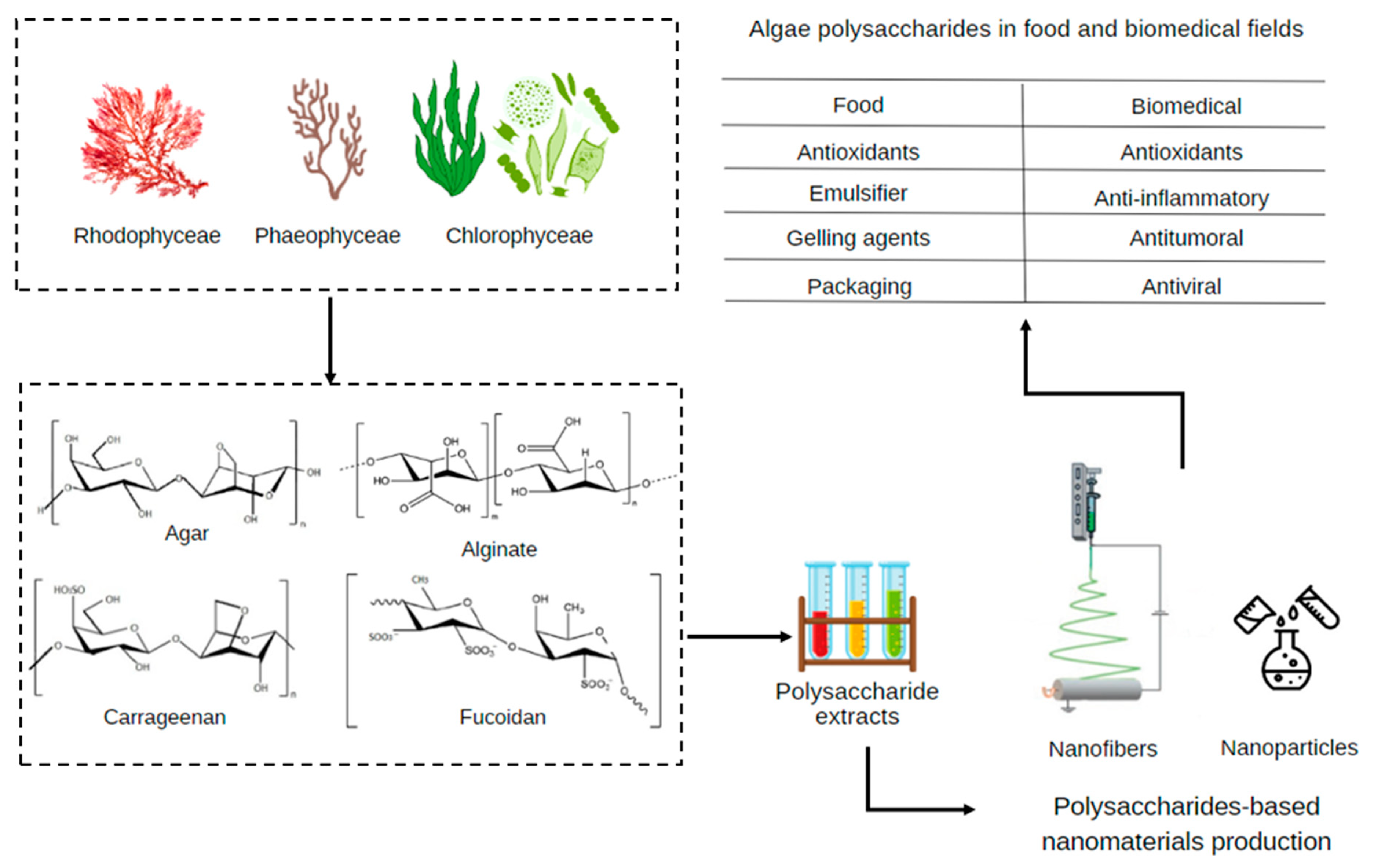 Polysaccharides 04 00022 g003