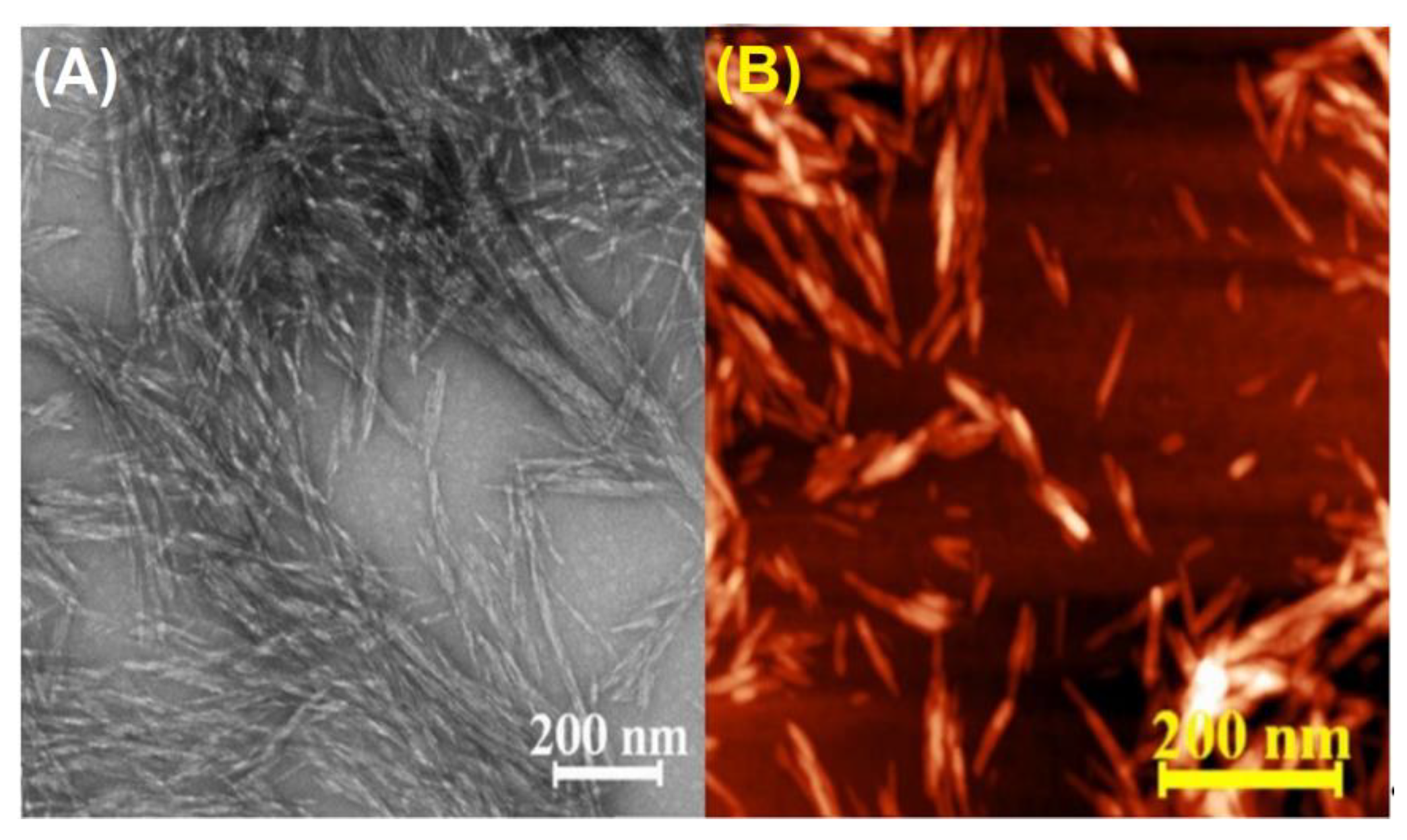 Polysaccharides 04 00024 g001