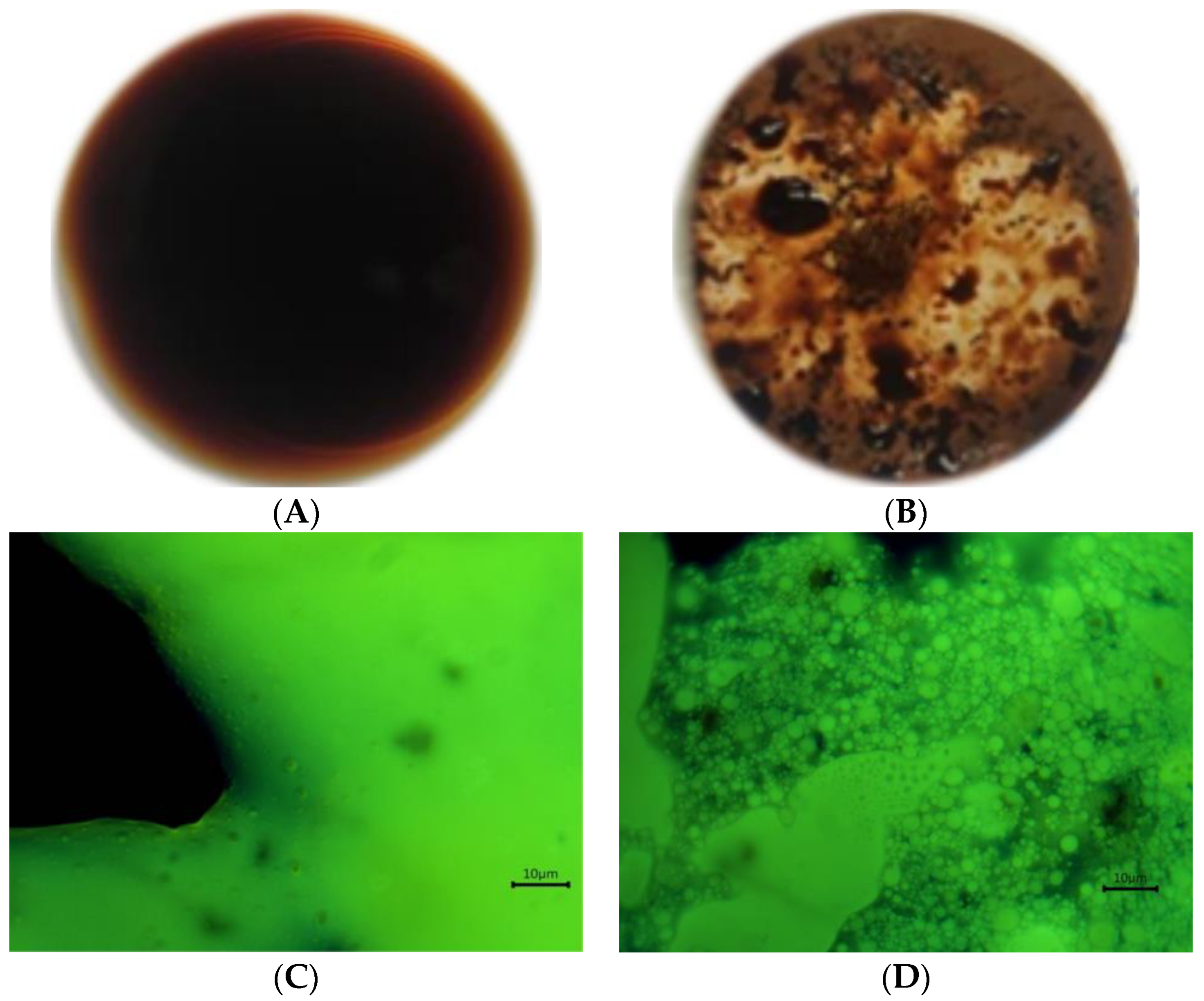 Polysaccharides 04 00024 g007