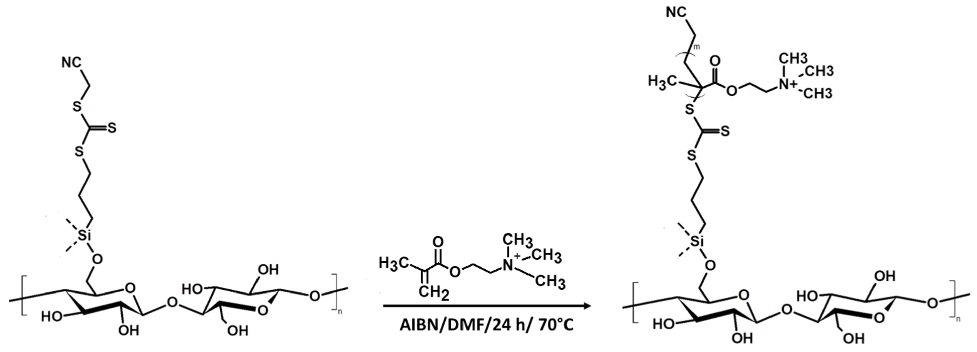 Polysaccharides 05 00006 g003