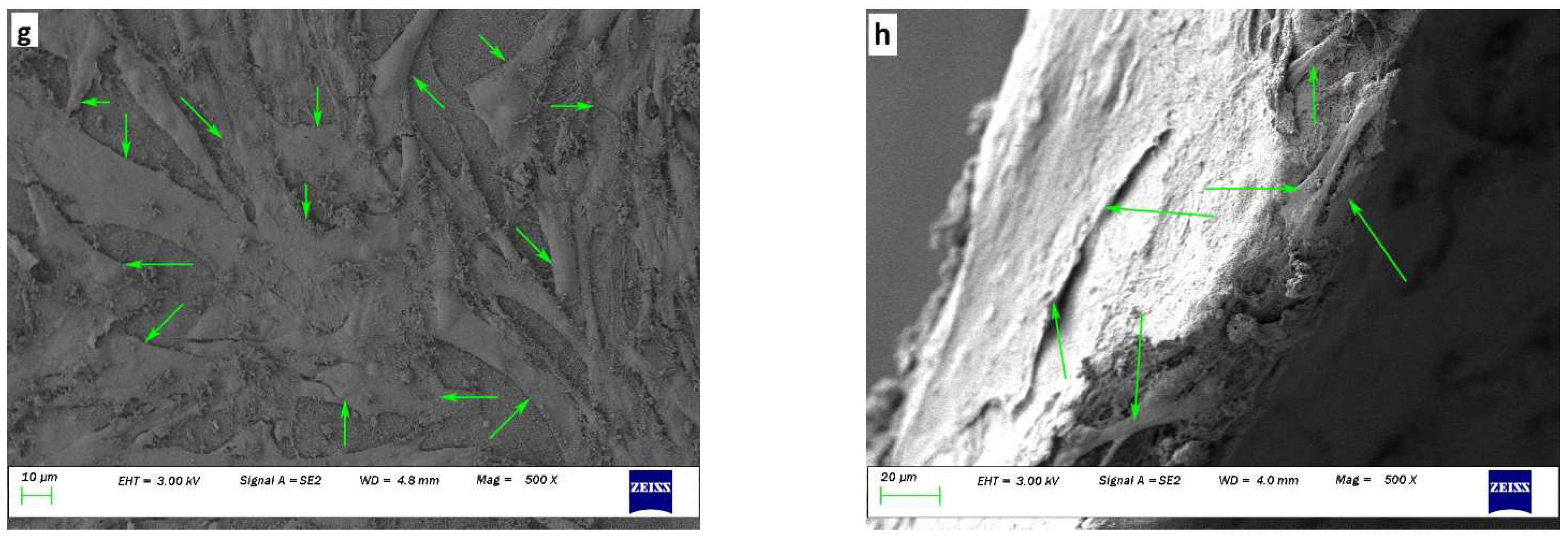 Polysaccharides 05 00009 g007b