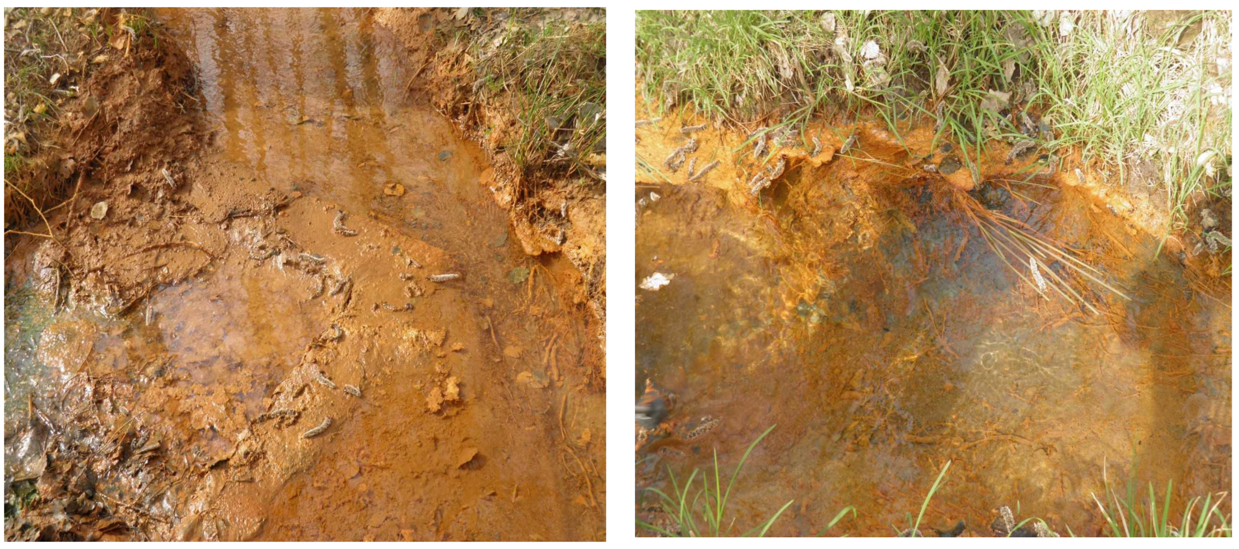 Polysaccharides 05 00012 g001