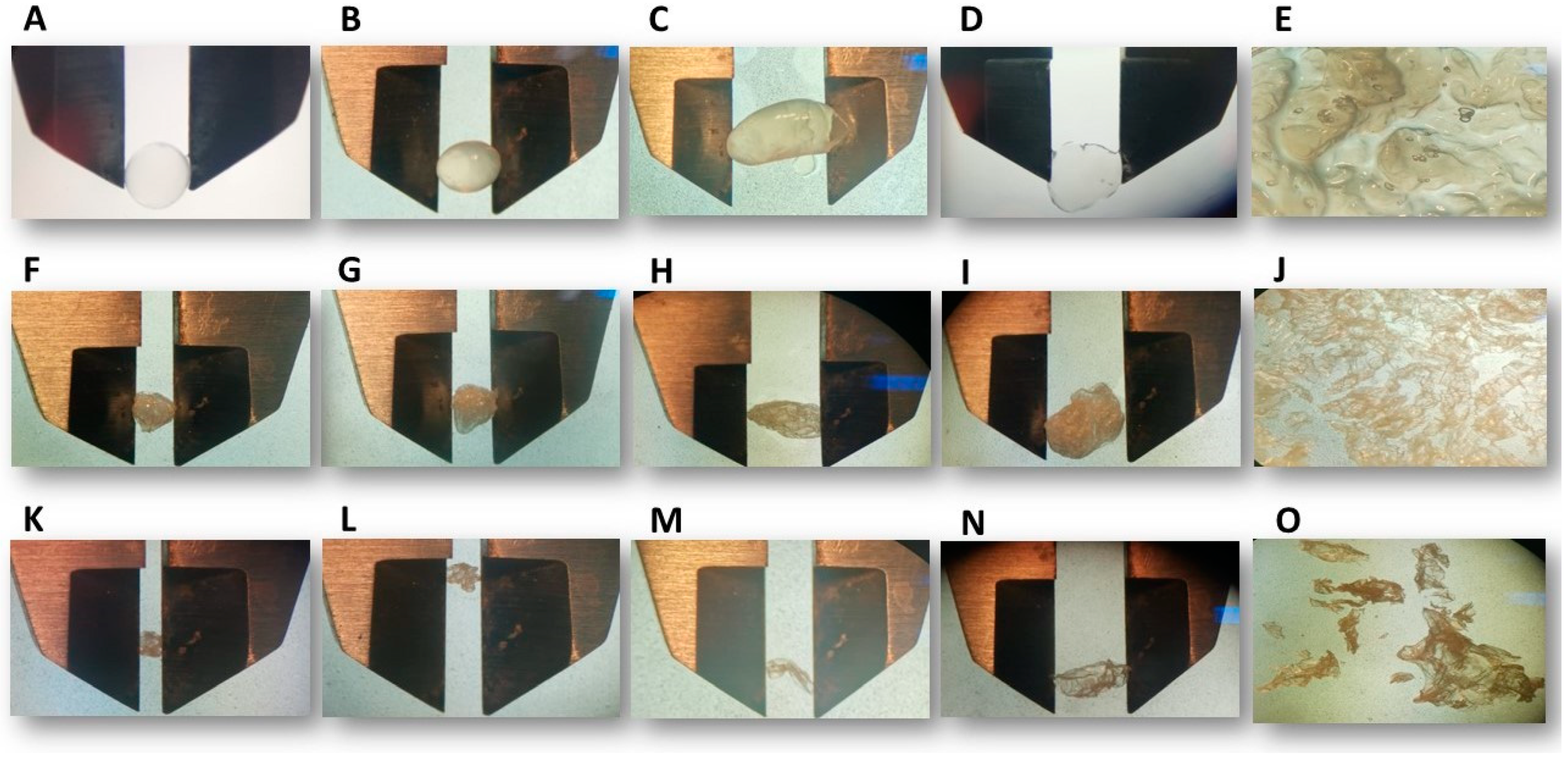 Polysaccharides 05 00028 g001
