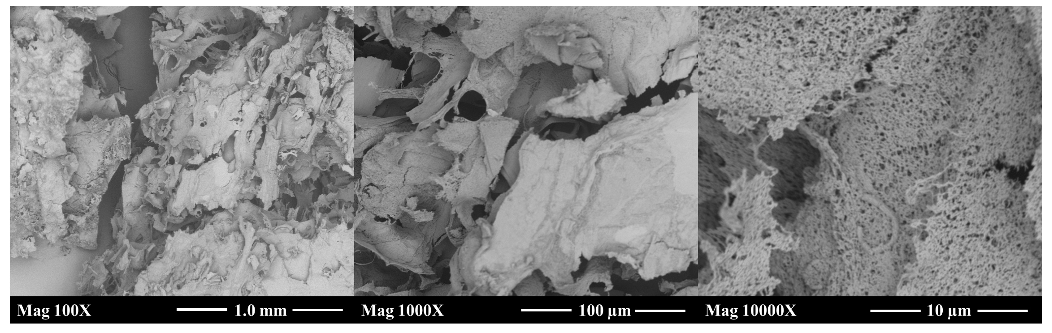 Polysaccharides 05 00031 g005 Polysaccharides 05 00031 g005