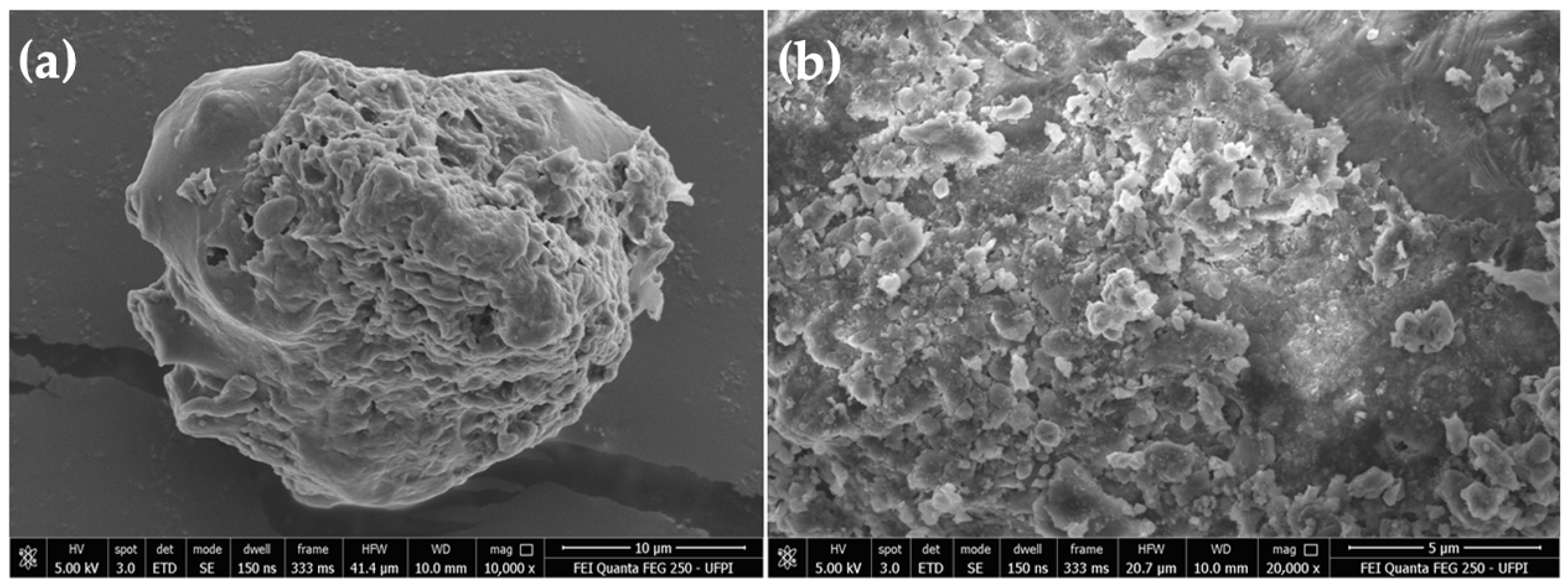 Polysaccharides 05 00033 g004 Polysaccharides 05 00033 g004