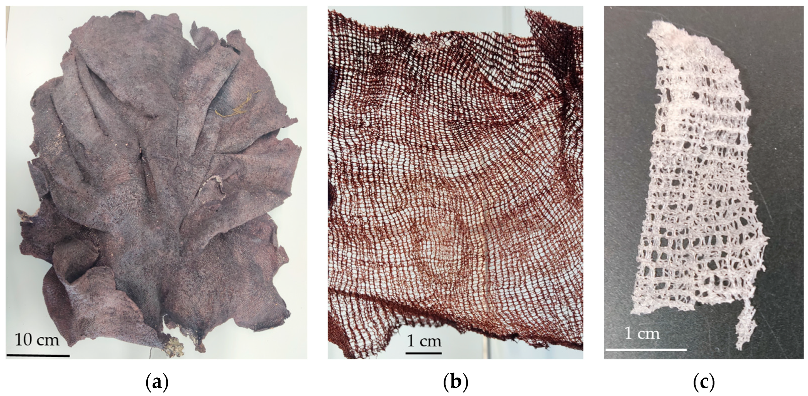 Polysaccharides 05 00034 g002