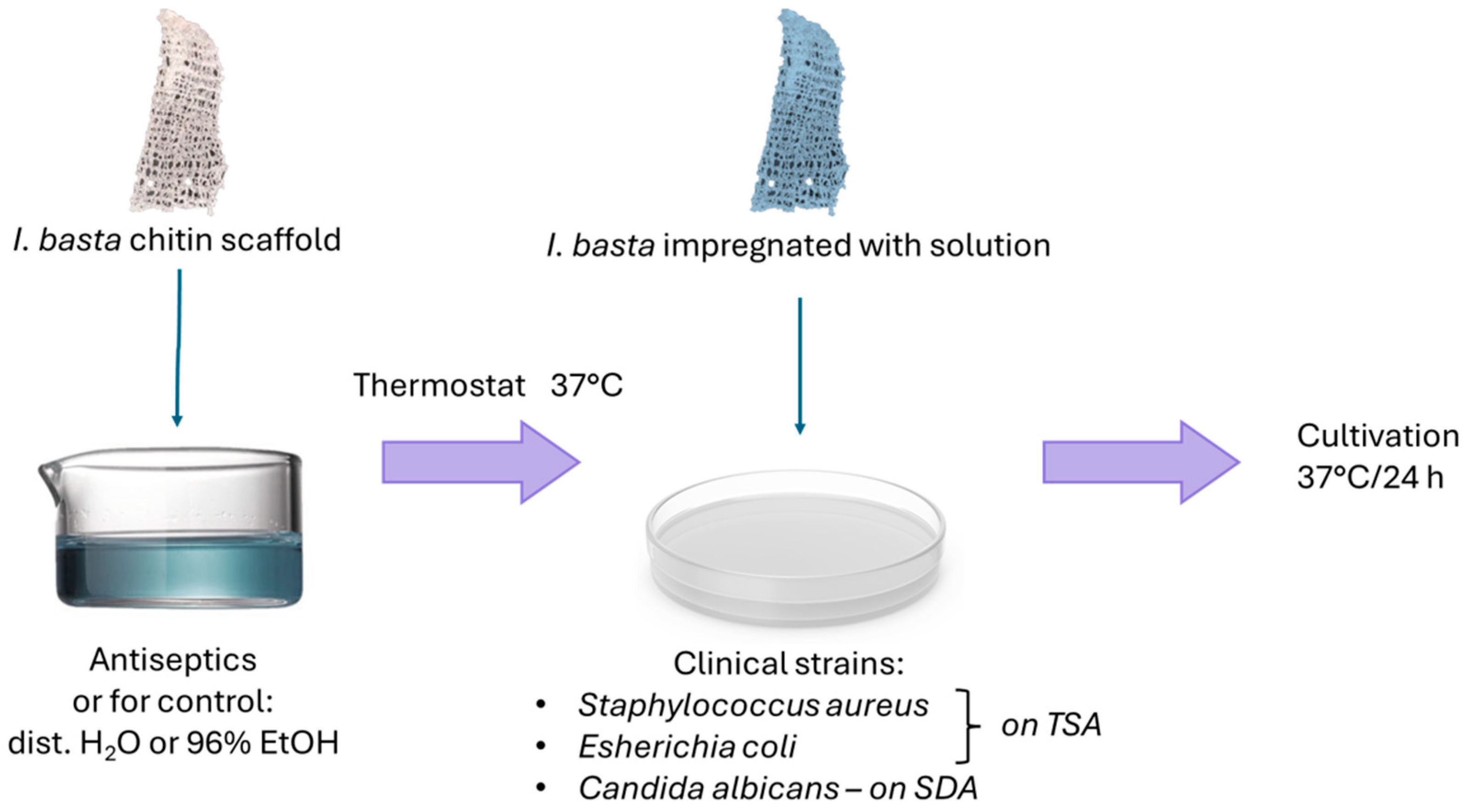 Polysaccharides 05 00034 g003
