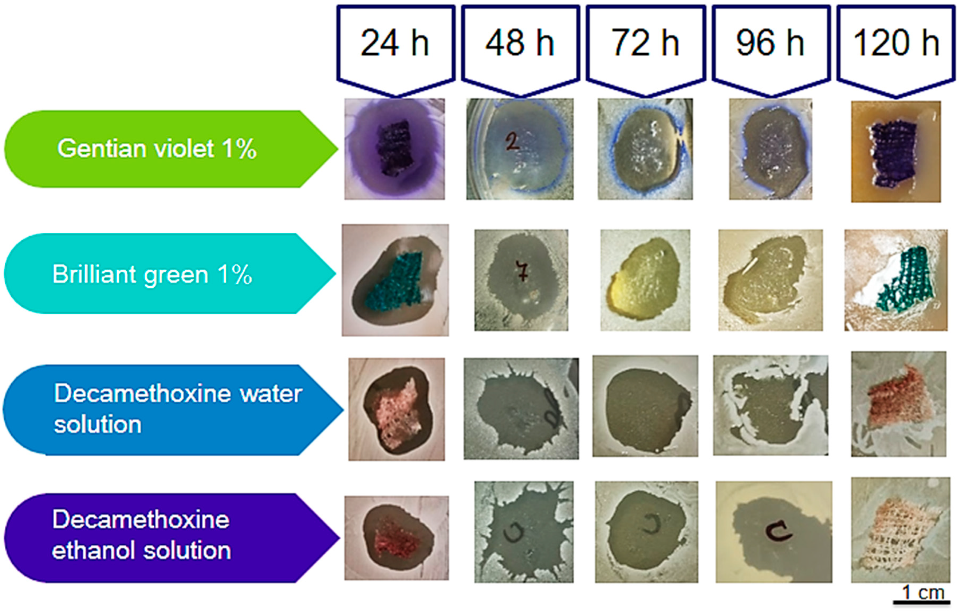 Polysaccharides 05 00034 g005