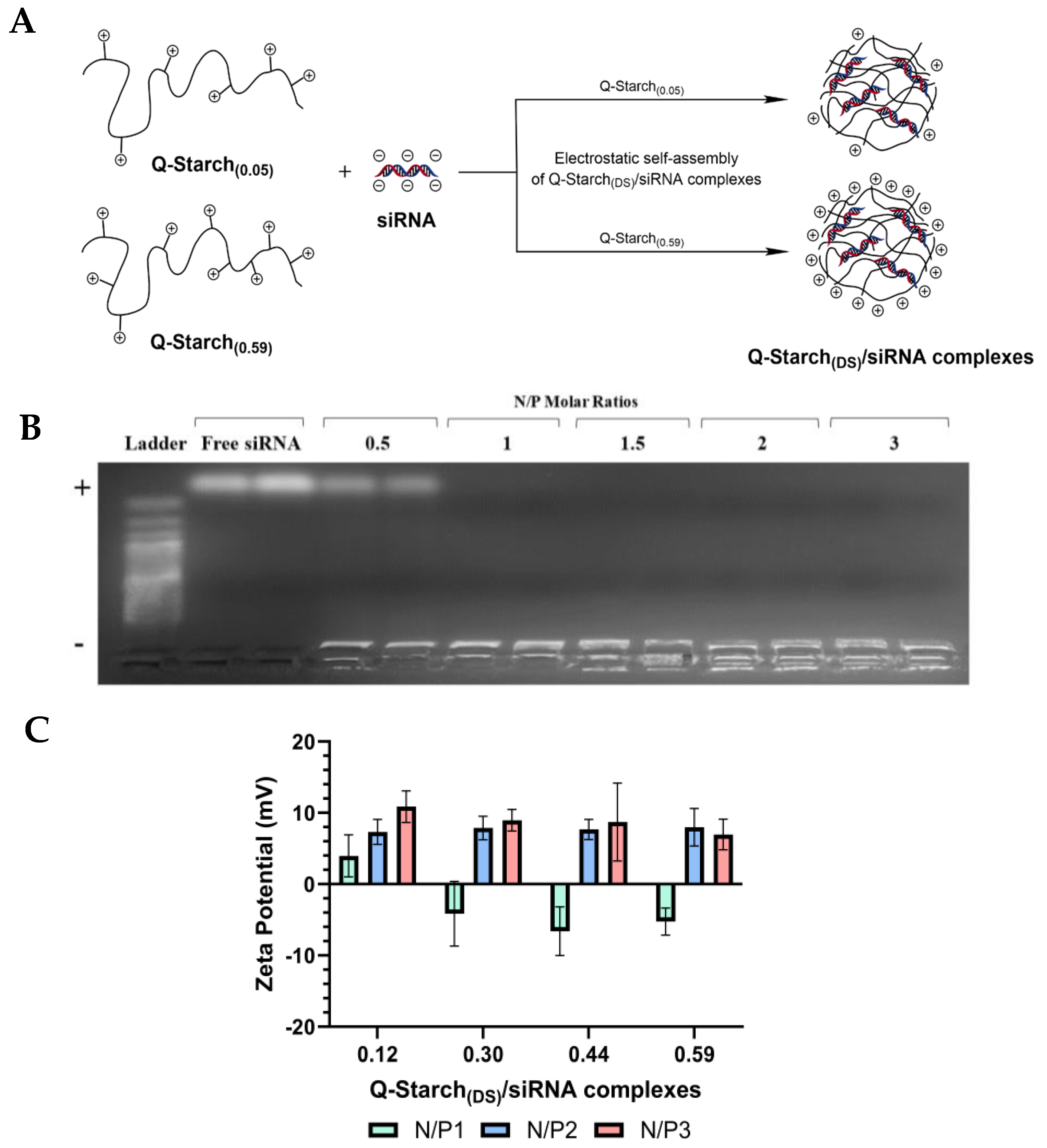Polysaccharides 05 00037 g002 Polysaccharides 05 00037 g002