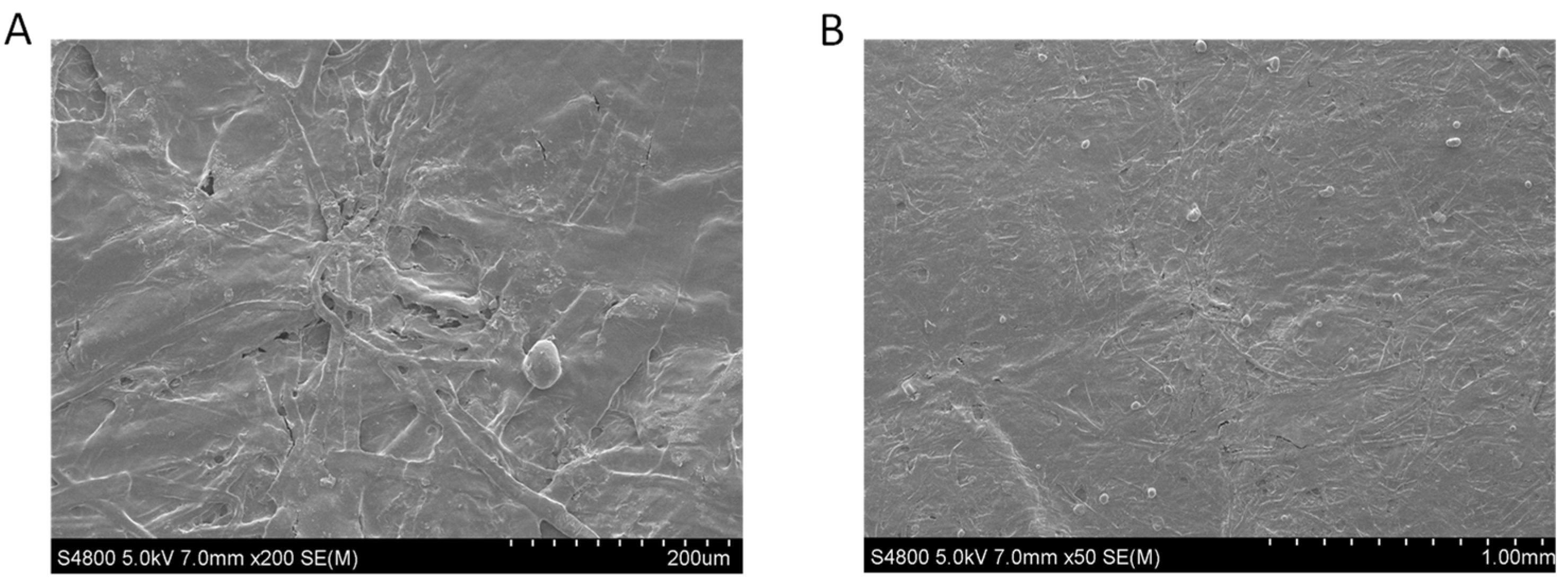 Polysaccharides 05 00042 g009 Polysaccharides 05 00042 g009