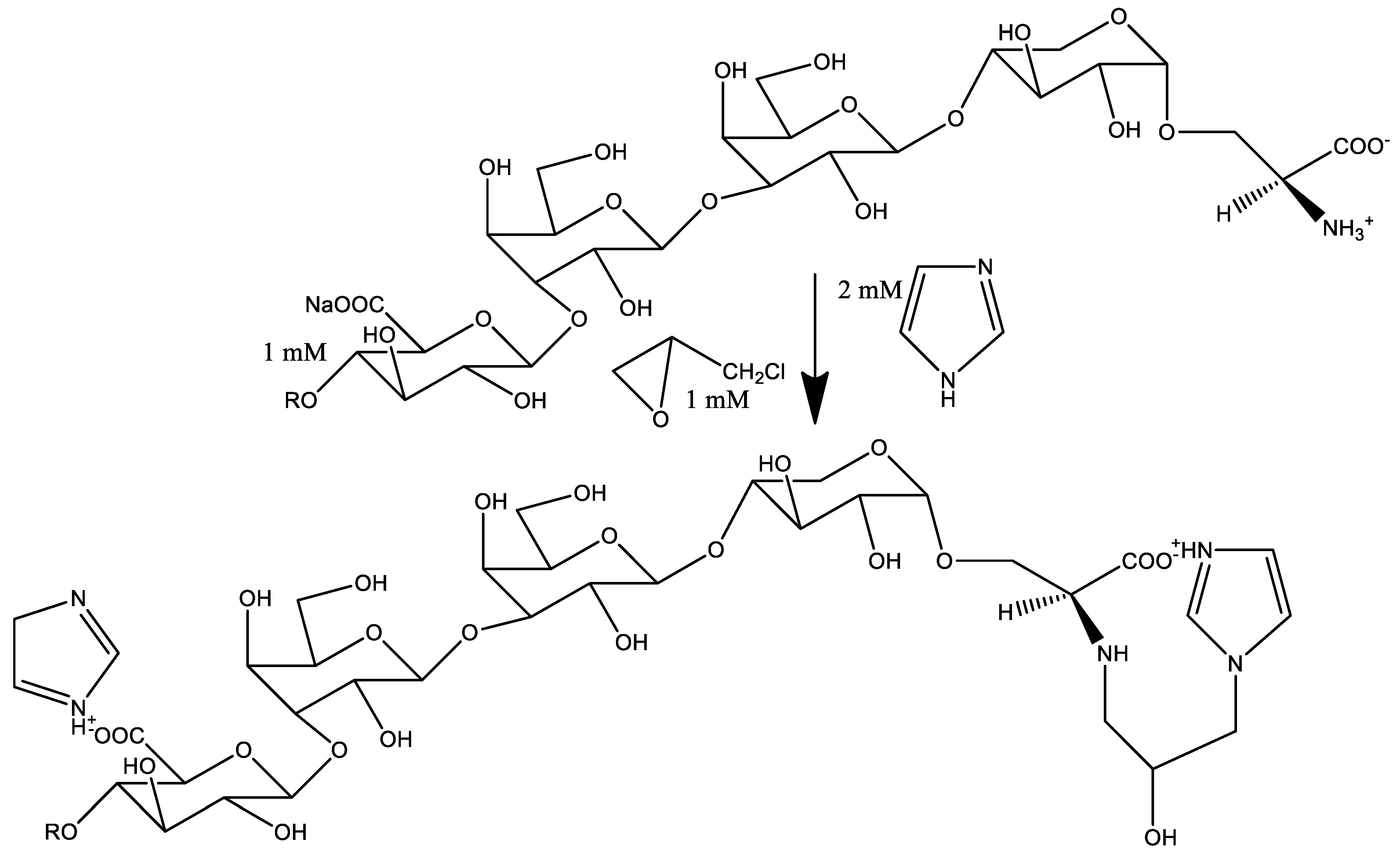 Polysaccharides 05 00045 g002 Polysaccharides 05 00045 g002